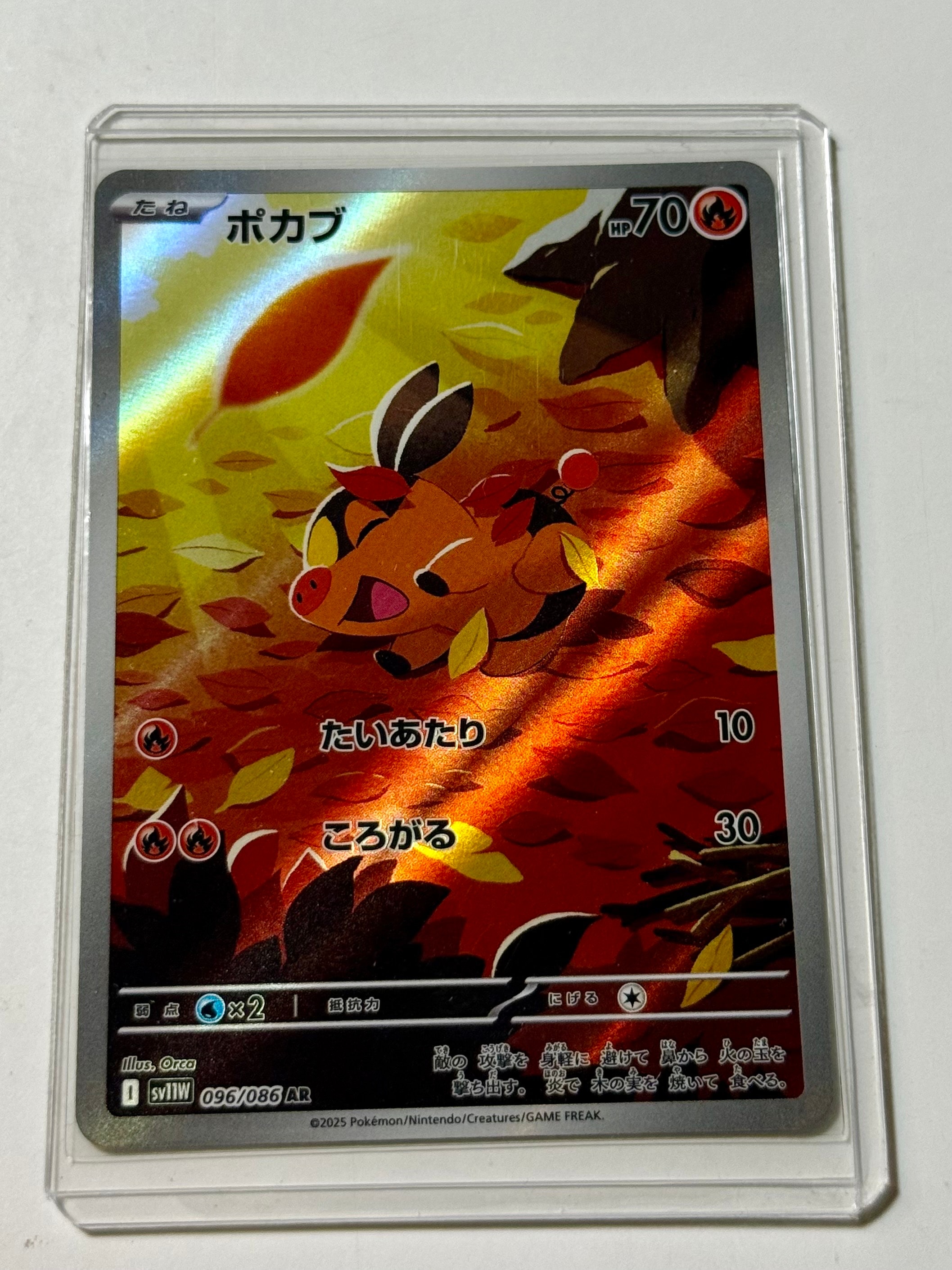 ポカブ AR [SV11W 096/086](拡張パック「ホワイトフレア」)の新品/中古