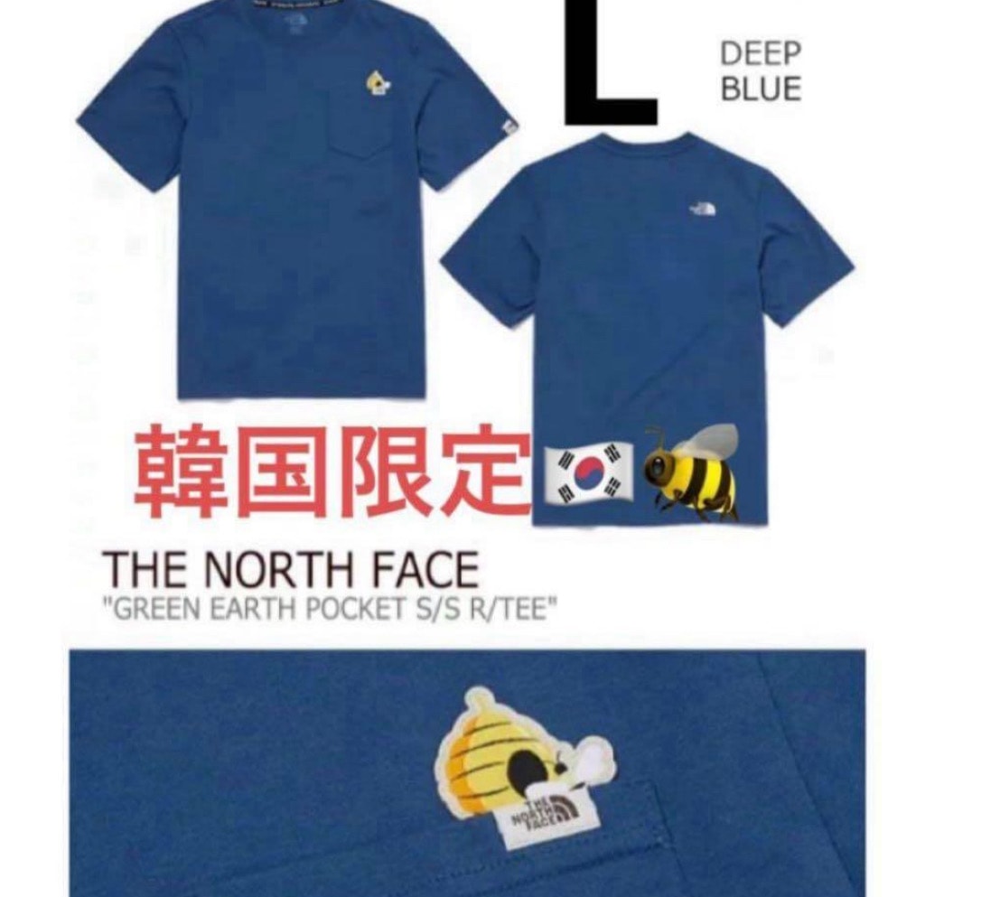 韓国限定 the north face white label ノースフェイス ホワイトレーベル GREEN EARTH POCKET TEE L