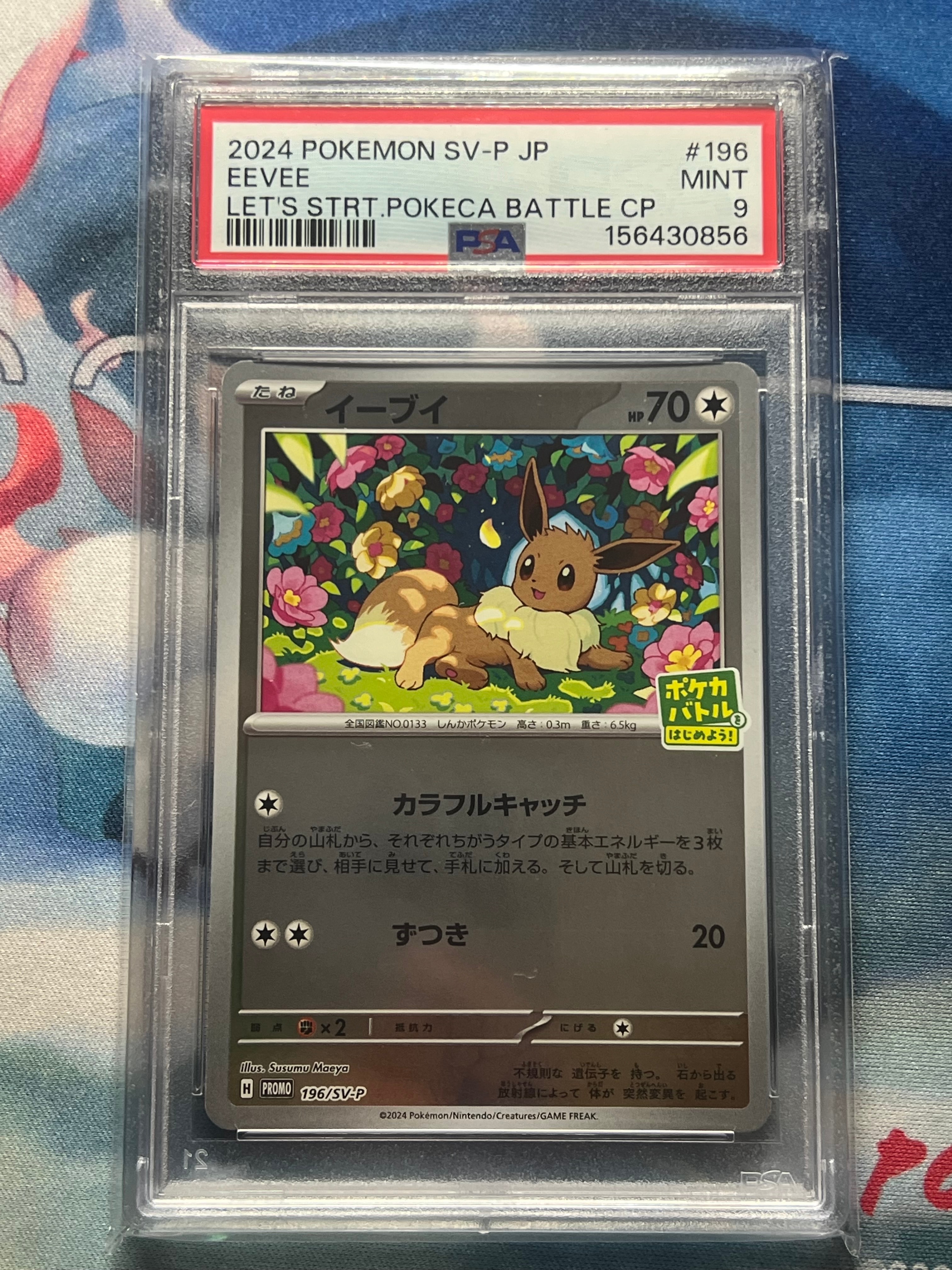 イーブイ P [SV-P-SM 196](プロモカードパック「ポケカバトルをはじめ