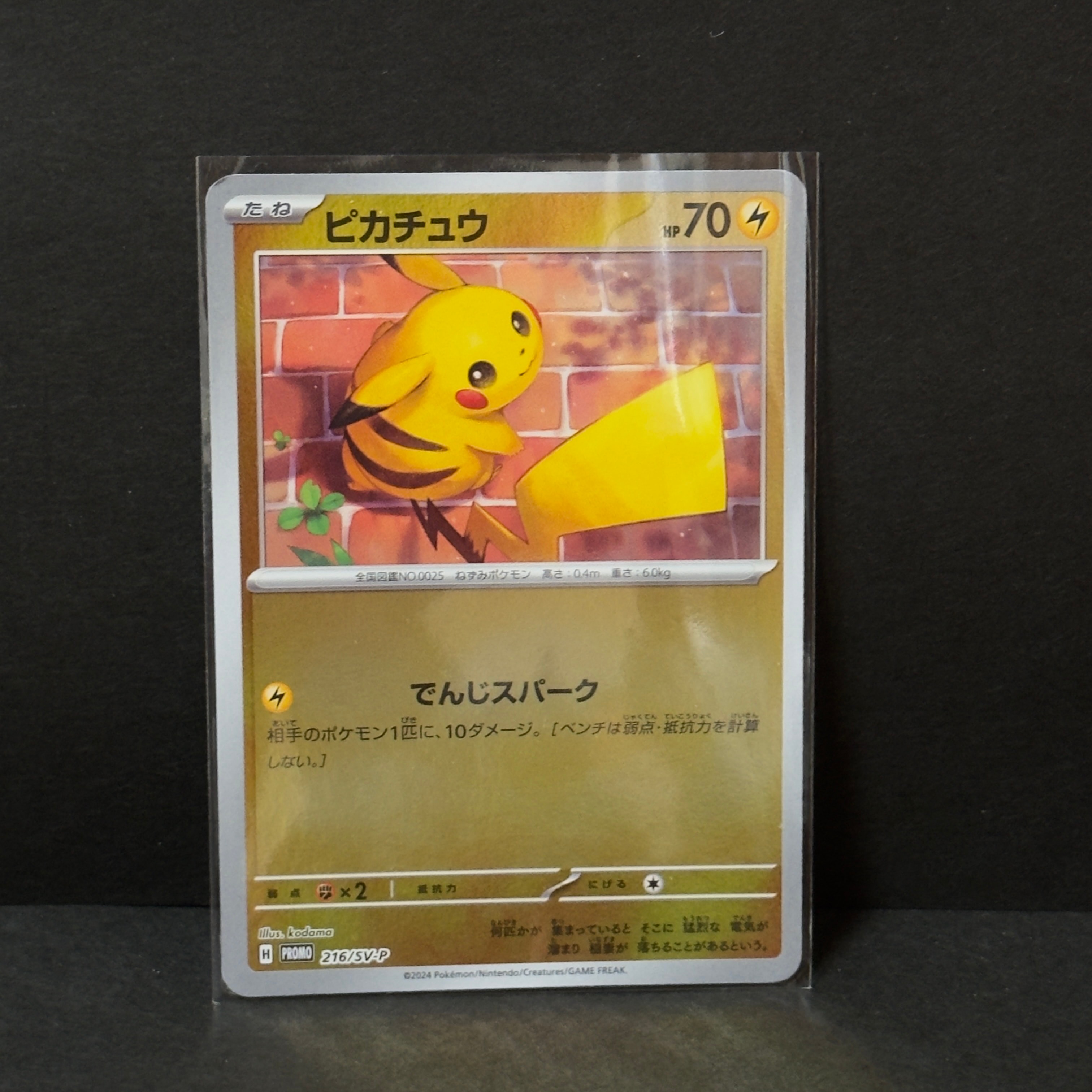 PSA10】ピカチュウ P [SV-P 216](プロモカードパック「ポケカの夏が