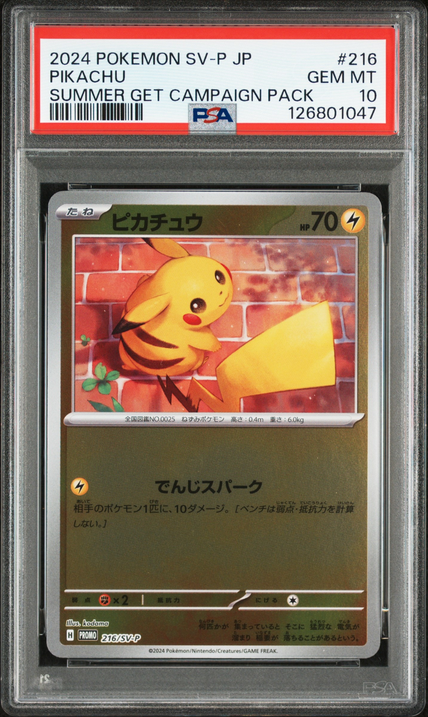 ピカチュウ P [SV-P 216](プロモカードパック「ポケカの夏がキタ!プロモカードGetキャンペーン!」)