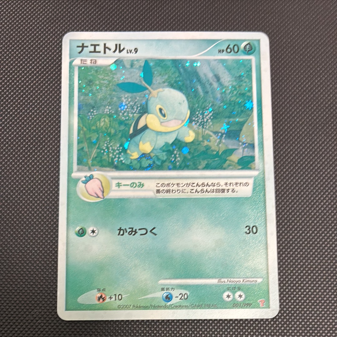 PSA10】ナエトル [PPP 001](プロモーションカード「第5期プレイヤーズ