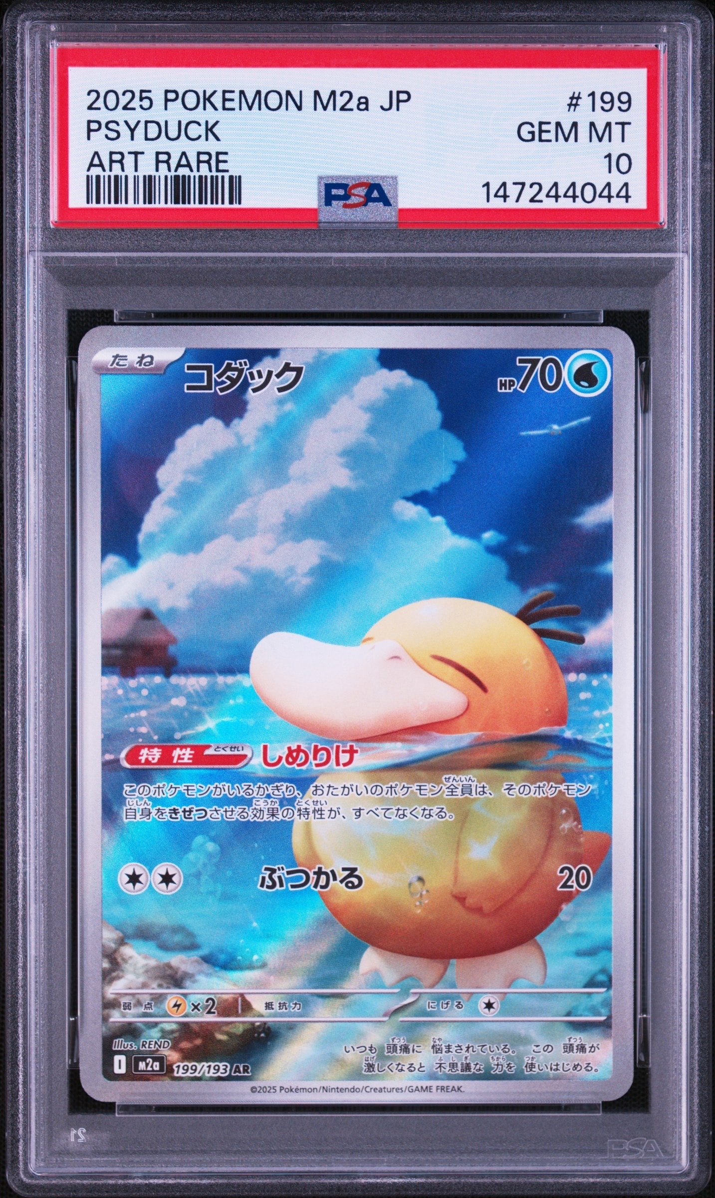 コダック AR [M2a 199/193](ハイクラスパック「MEGAドリームex」)