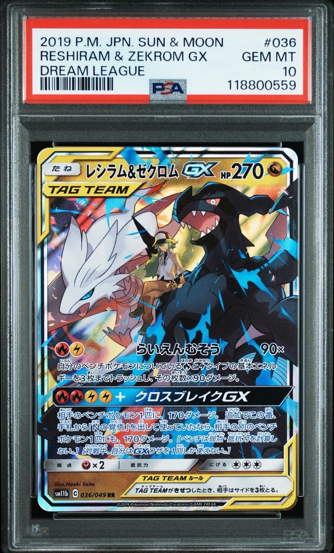 レシラム&ゼクロムGX (N) RR[SM11b 036/049](強化拡張パック「ドリームリーグ」)
