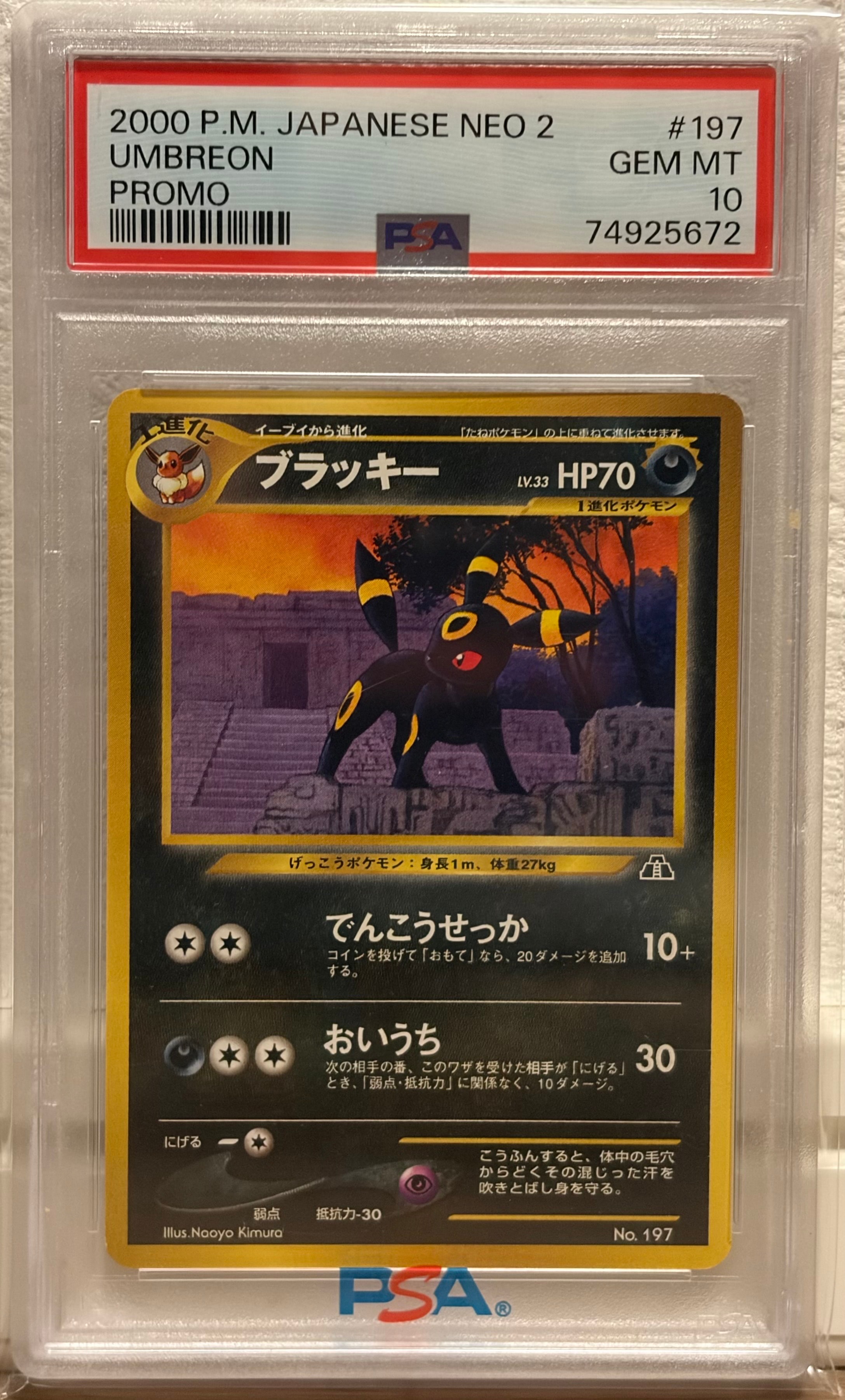 PSA8以下】ブラッキープレミアムファイル2: 旧裏[neoP2 No.197