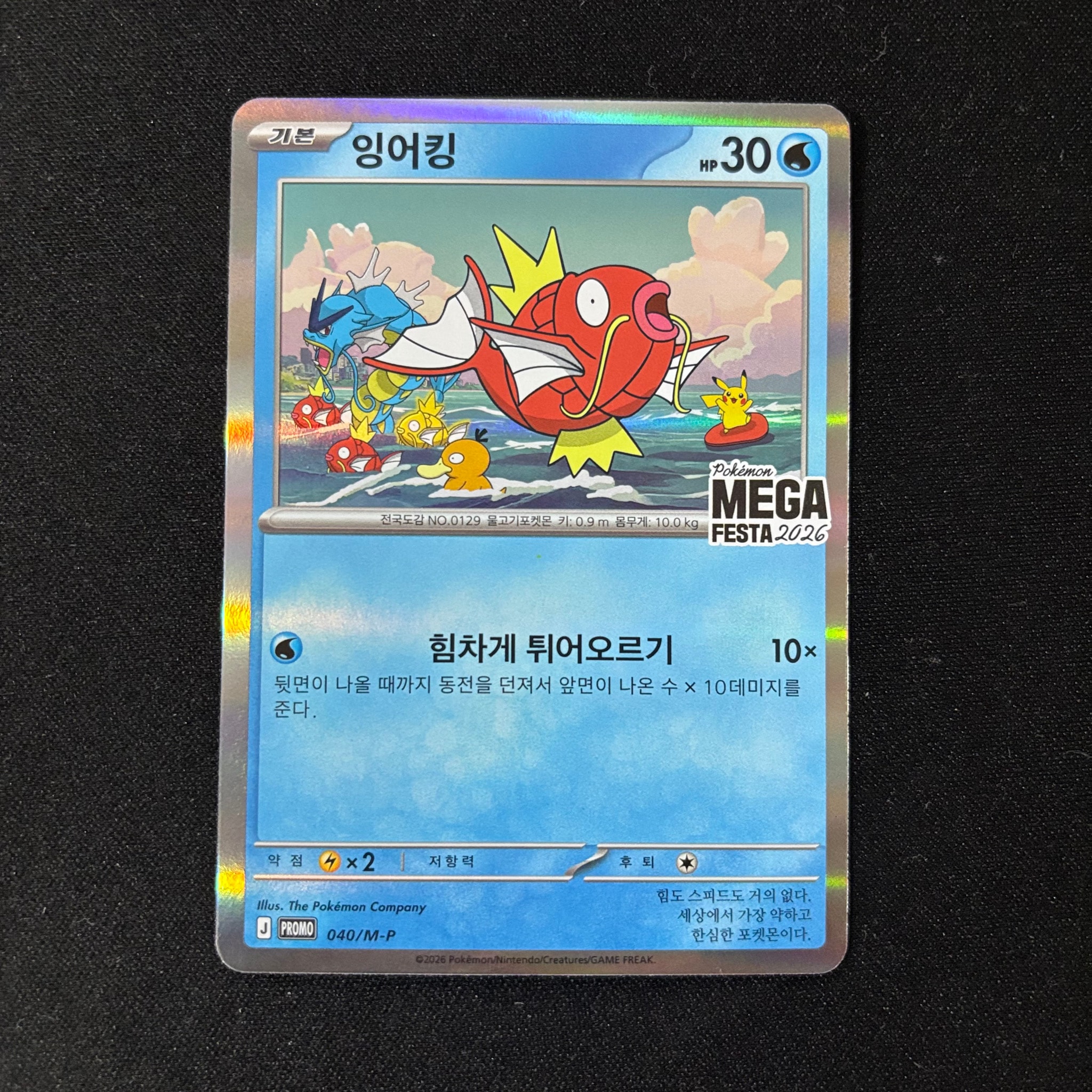 コイキング プロモ [040/M-P]【韓国語版】(プロモーションカード「ポケモン メガフェスタ2026 プロモカードパック」)