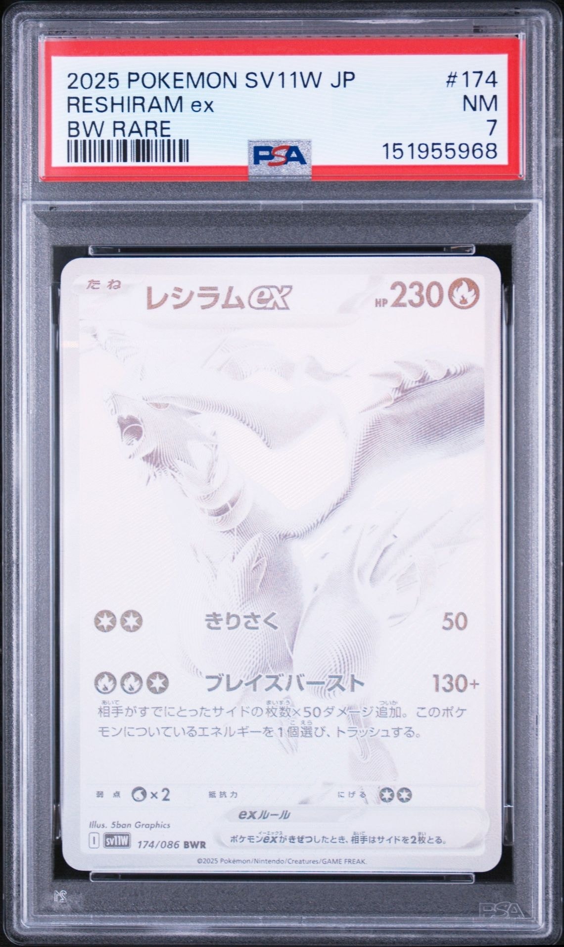 レシラムex BWR [SV11W 174/086](拡張パック「ホワイトフレア」)通販