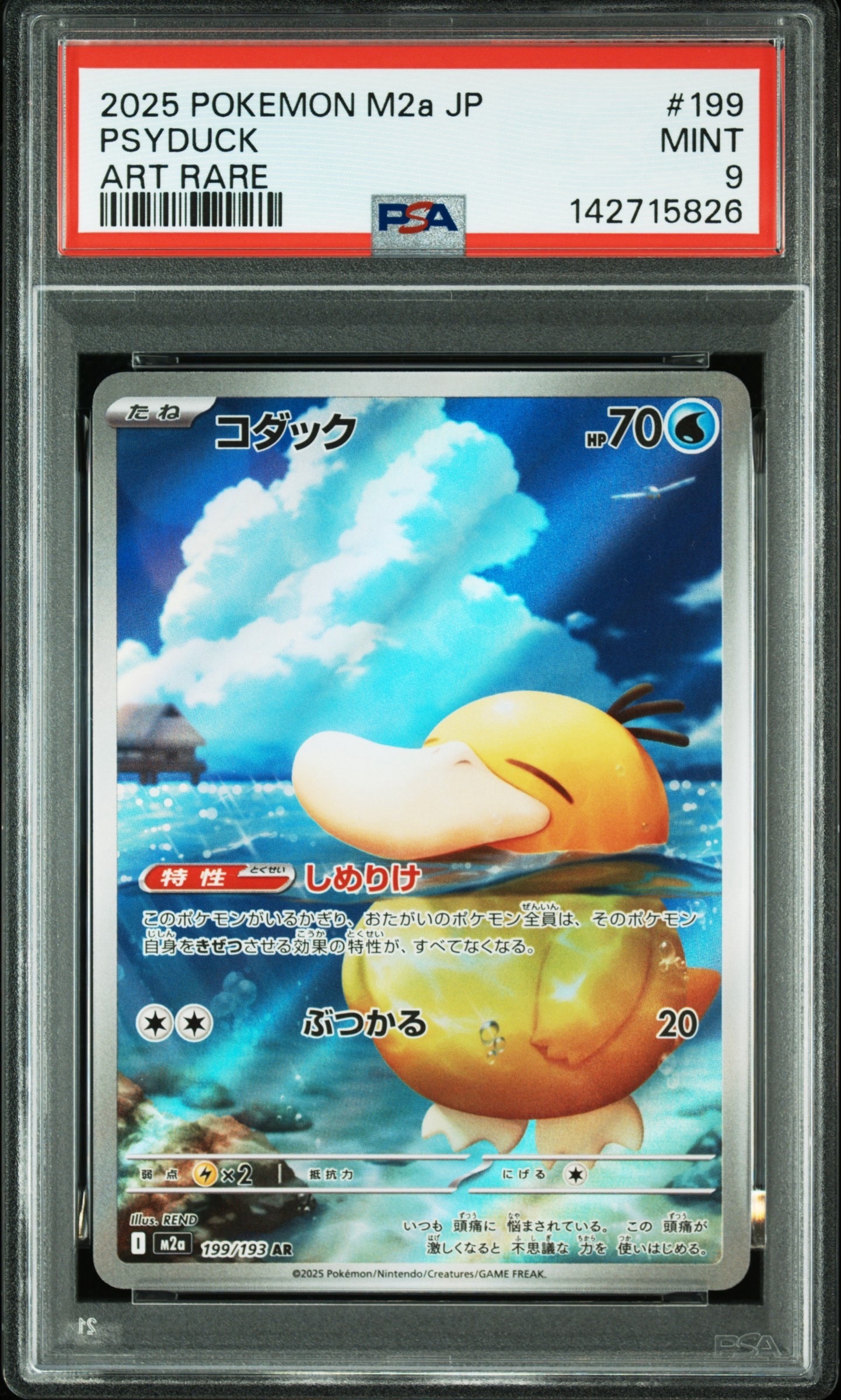 コダック AR [M2a 199/193](ハイクラスパック「MEGAドリームex」)