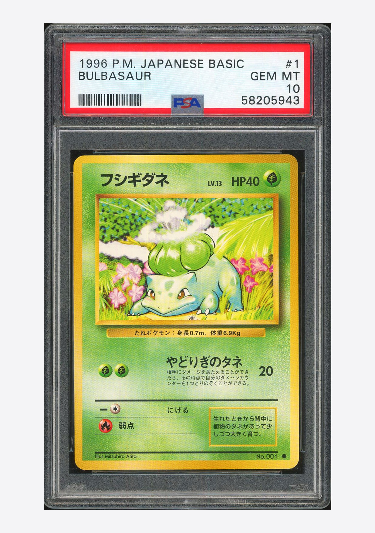 フシギダネ ● : 旧裏 [PMCG1-2](拡張パック「ポケットモンスター カードゲーム」再販)