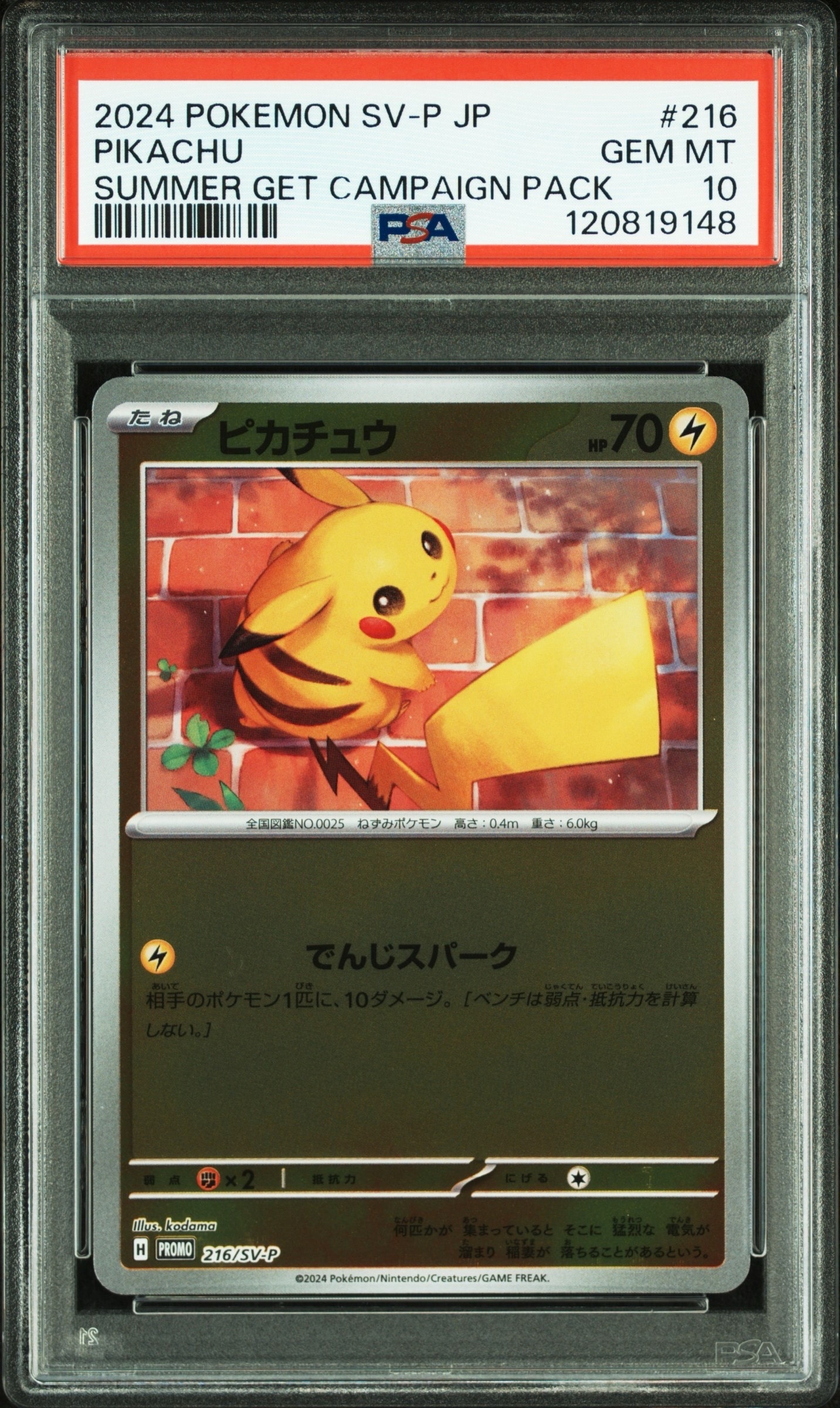 ピカチュウ P [SV-P 216](プロモカードパック「ポケカの夏がキタ!プロモカードGetキャンペーン!」)