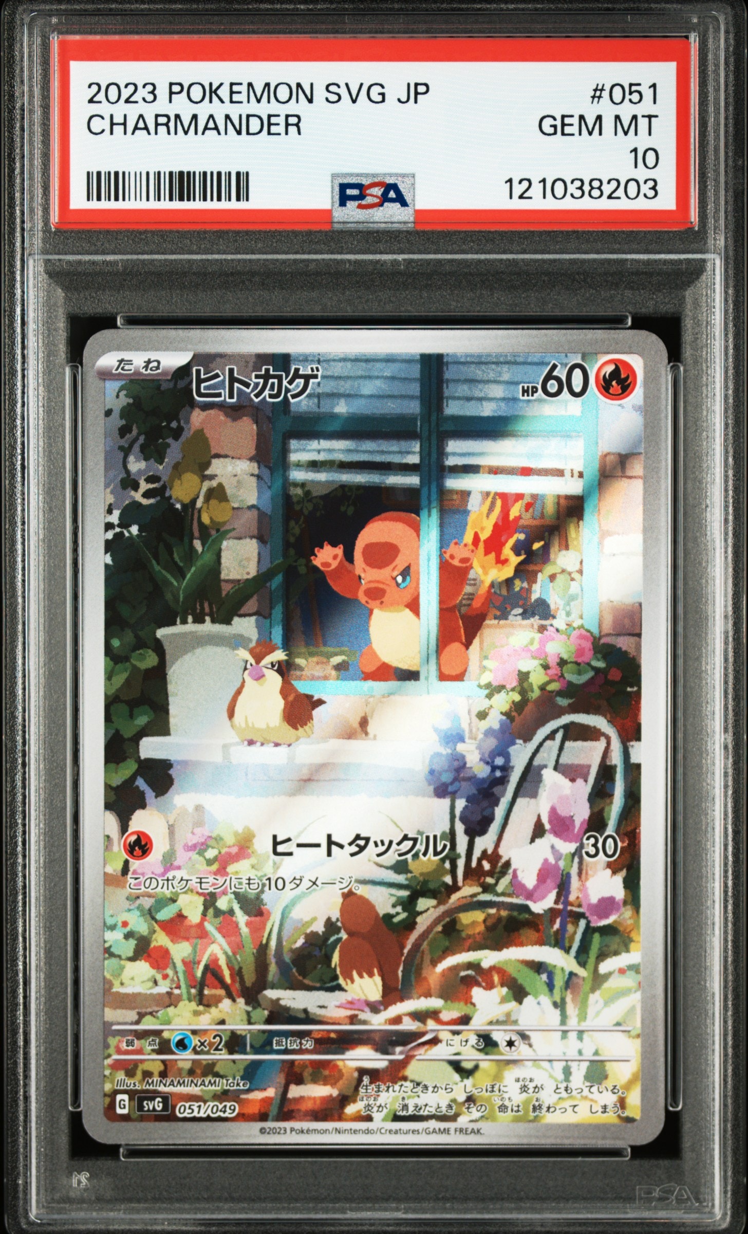 ヒトカゲ :フルイラスト [SVG 051/049](スペシャルデッキセットex「フシギバナ・リザードン・カメックス」)