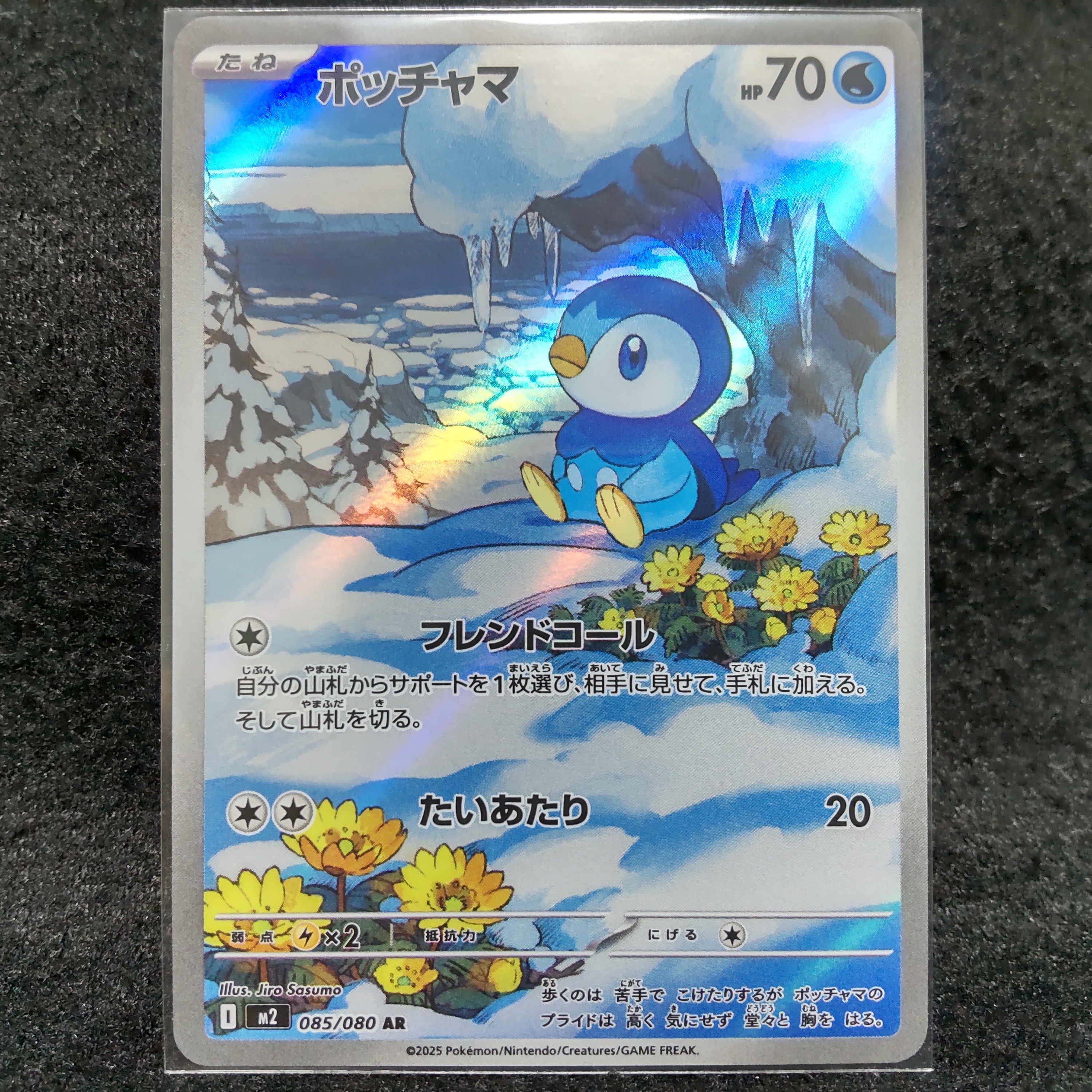 ポッチャマ AR [M2 085/080](拡張パック「インフェルノX」)