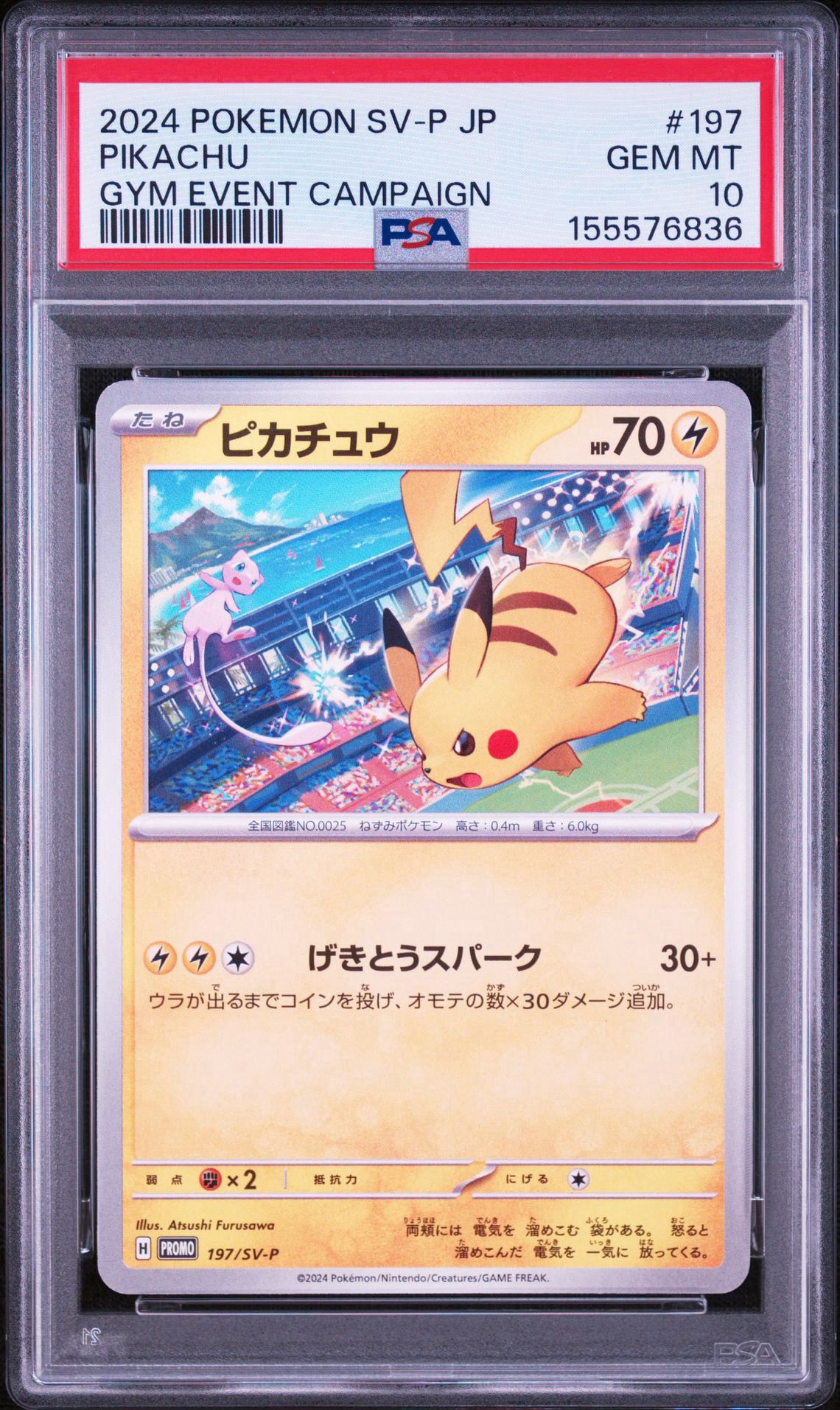 ピカチュウ P [SV-P 197](プロモーションカード「WCS2024 開催記念