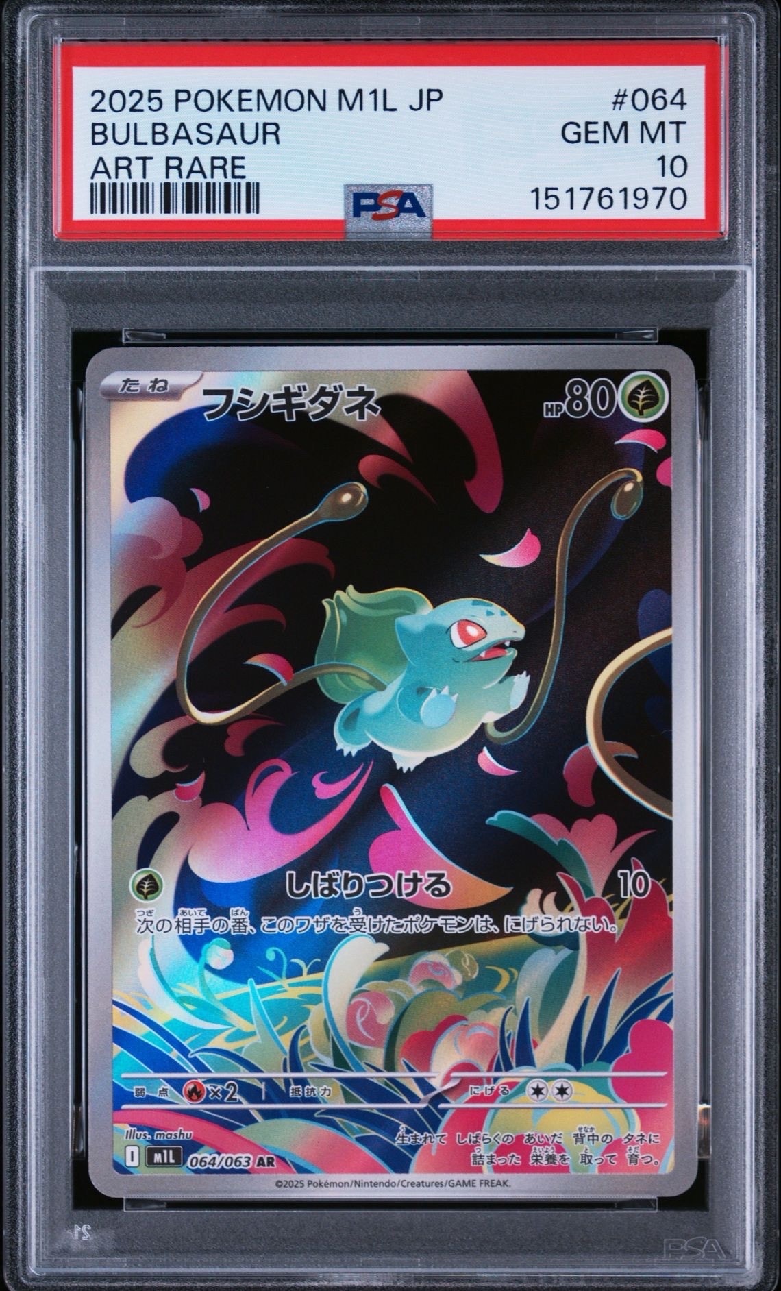 フシギダネ AR [M1L 064/063](拡張パック「メガブレイブ」)の新品/中古