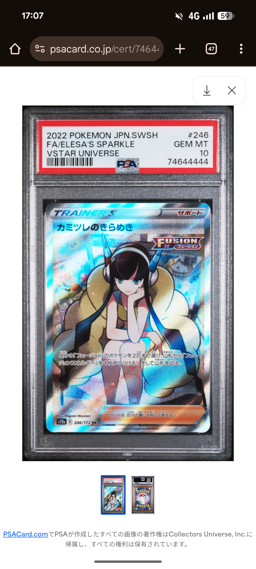 カミツレのきらめき SR[s12a 246/172](ハイクラスパック「VSTARユニバース」)