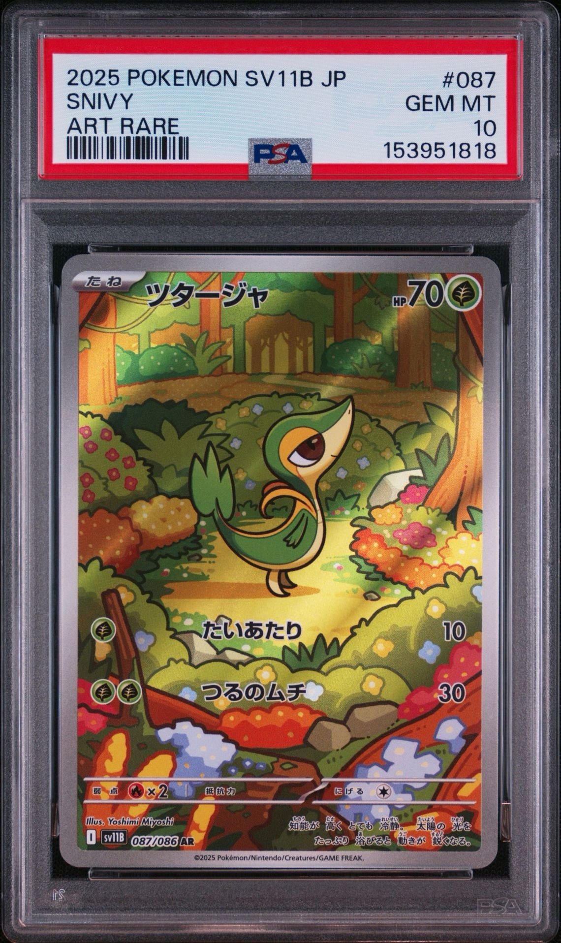 PSA10】ツタージャ AR [SV11B 087/086](拡張パック「ブラックボルト