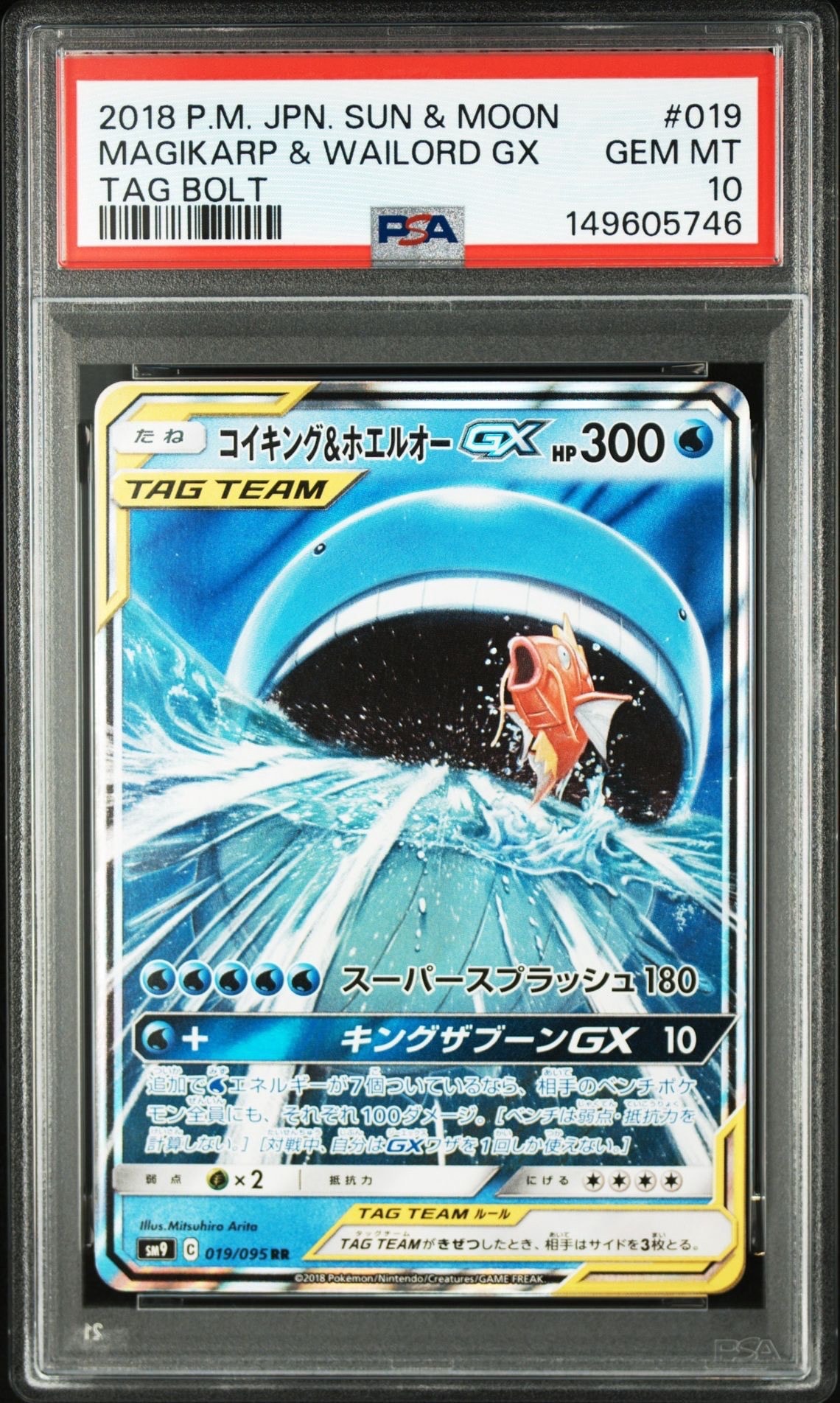 Magikarp & Wailord GX RR [SM9 019/095](Expansion Pack "Tag Bolt")