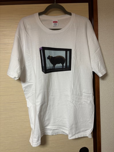 Supreme Damien Hirst Tee "White"