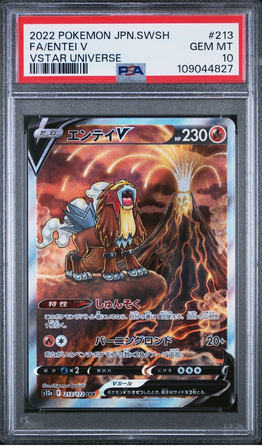 エンテイV SAR[s12a 213/172](ハイクラスパック「VSTARユニバース」)