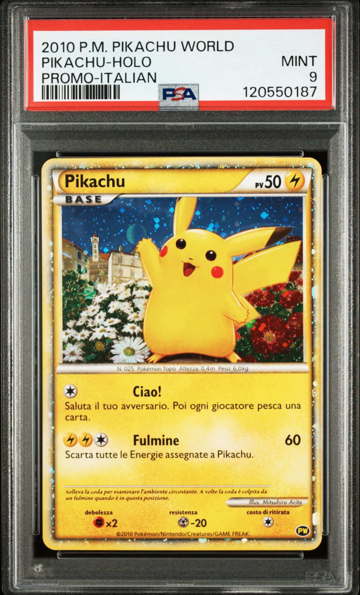 ピカチュウ イタリア [PW](ポケモンカード LEGEND「ピカチュウ ワールド」)