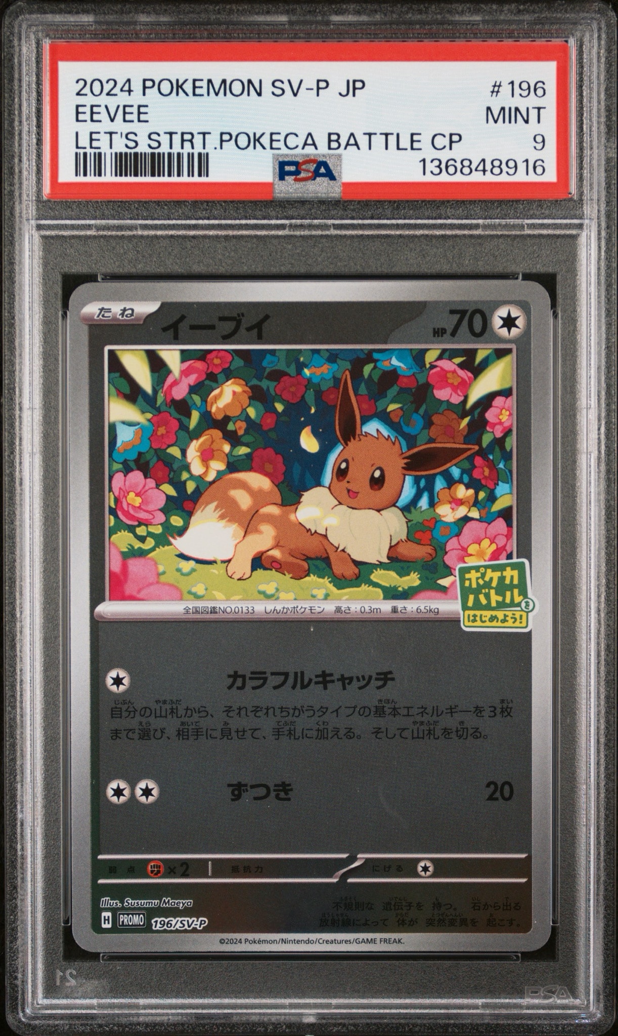 イーブイ P [SV-P-SM 196](プロモカードパック「ポケカバトルをはじめ