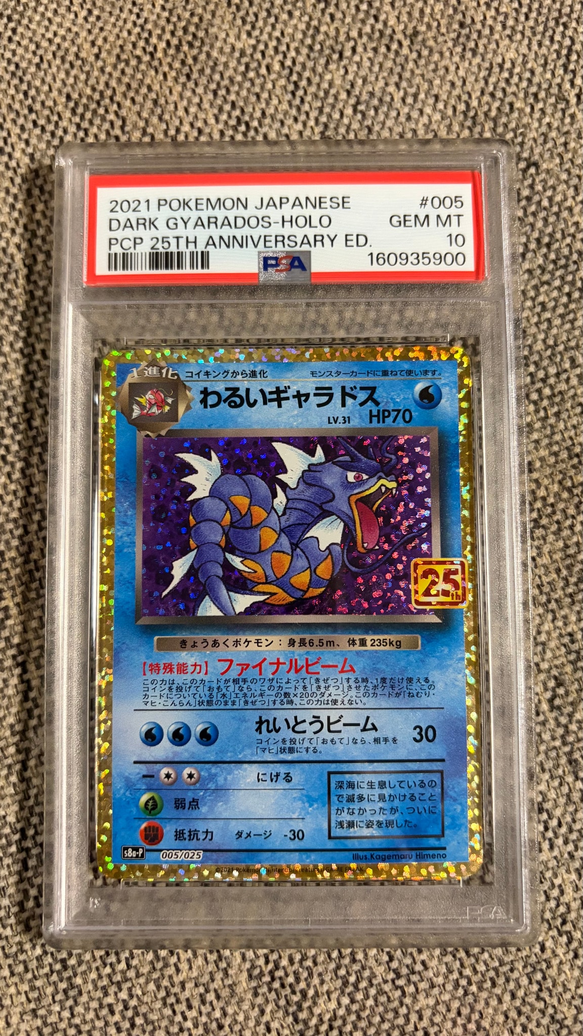 わるいギャラドス: プロモ[S8a-P 005/025](プロモカードパック 25th ANNIVERSARY edition)