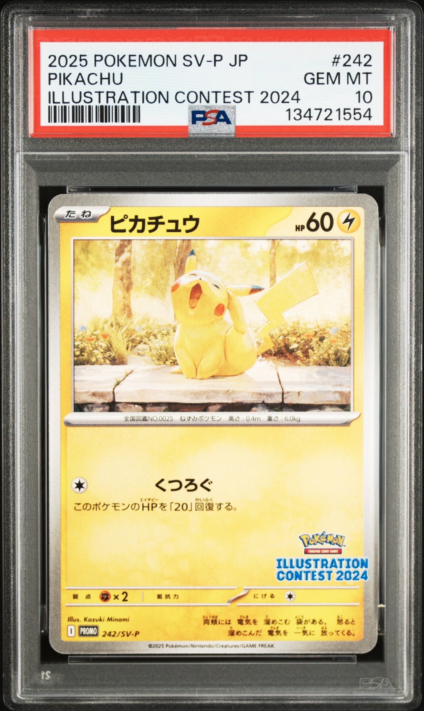 ピカチュウ [SV-P 242](プロモカードパック「イラストレーション
