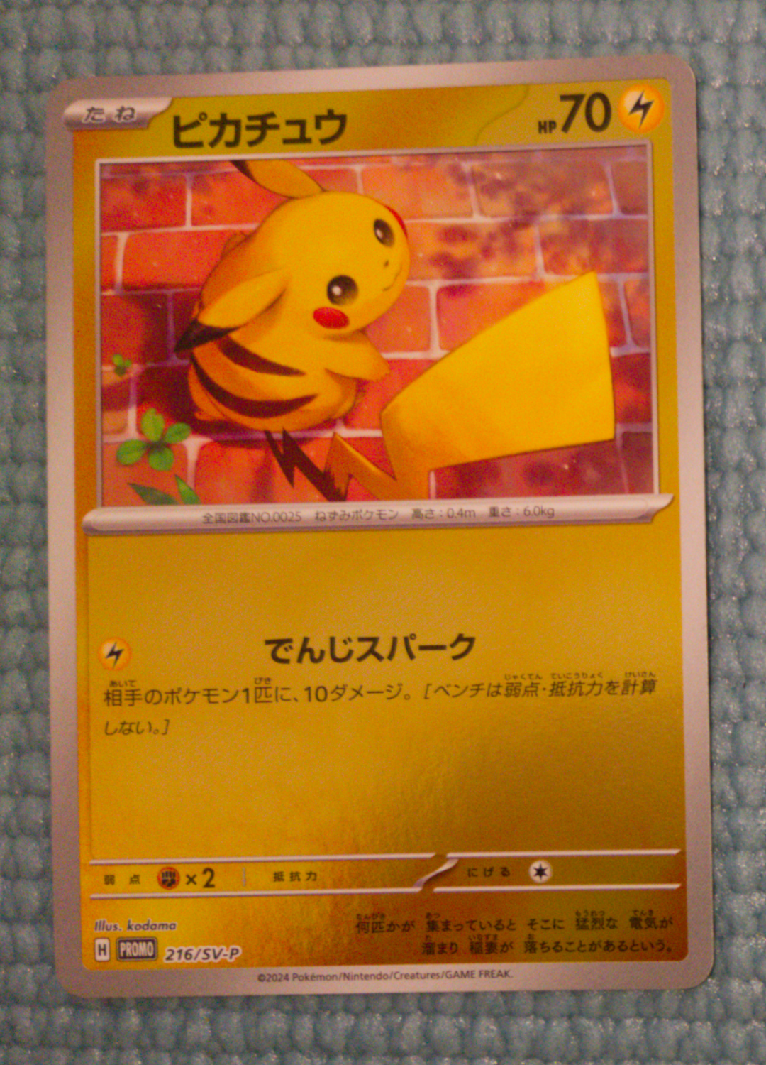 ピカチュウ P [SV-P 216](プロモカードパック「ポケカの夏がキタ!プロモカードGetキャンペーン!」)
