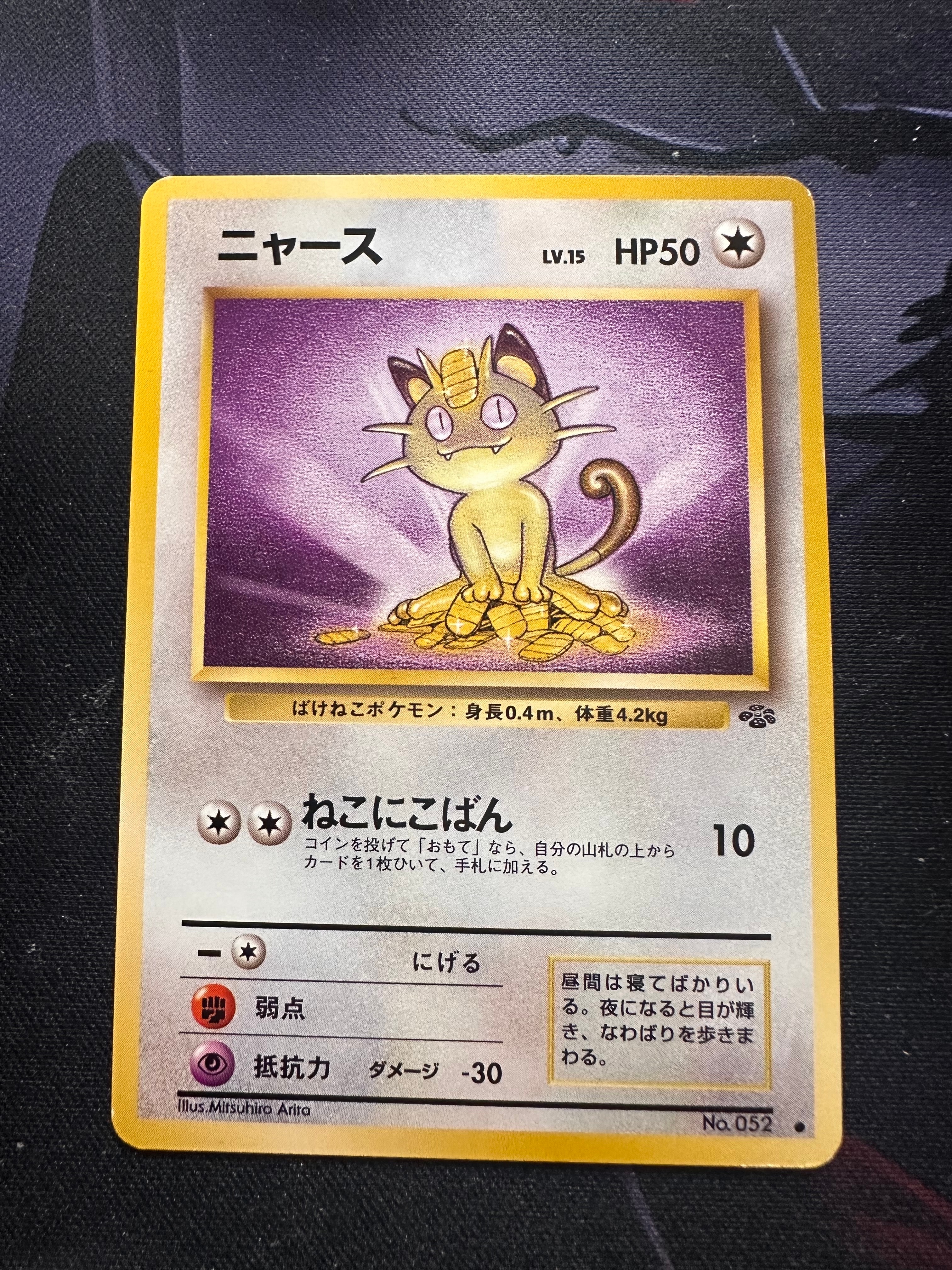 PSA10 ニューラ 旧裏 PRMF-3 215 ★neo プレミアムファイル3 PSA10】ニューラ : 旧裏 [PRMF-3 No.215](ポケモンカード☆neo