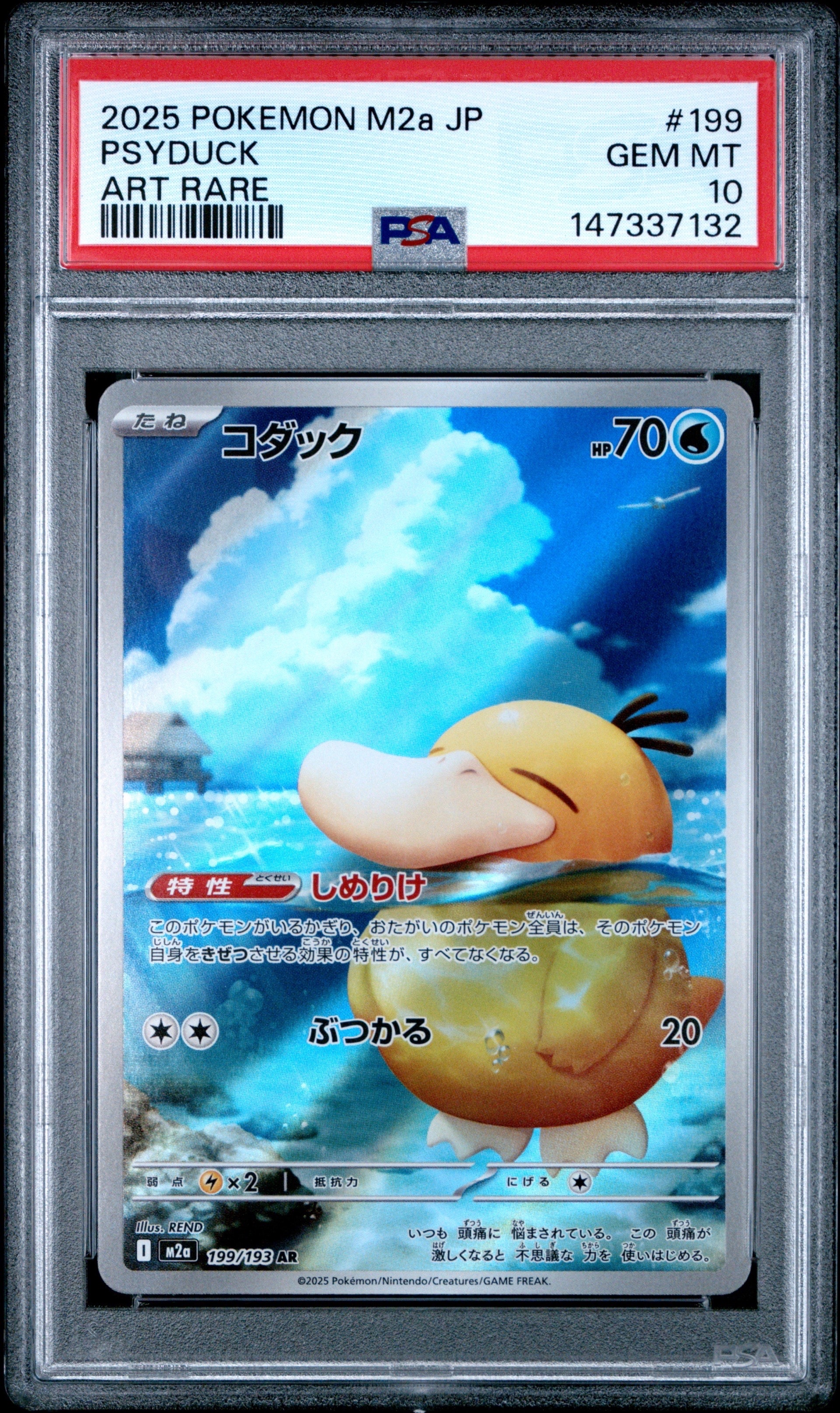 コダック AR [M2a 199/193](ハイクラスパック「MEGAドリームex」)の