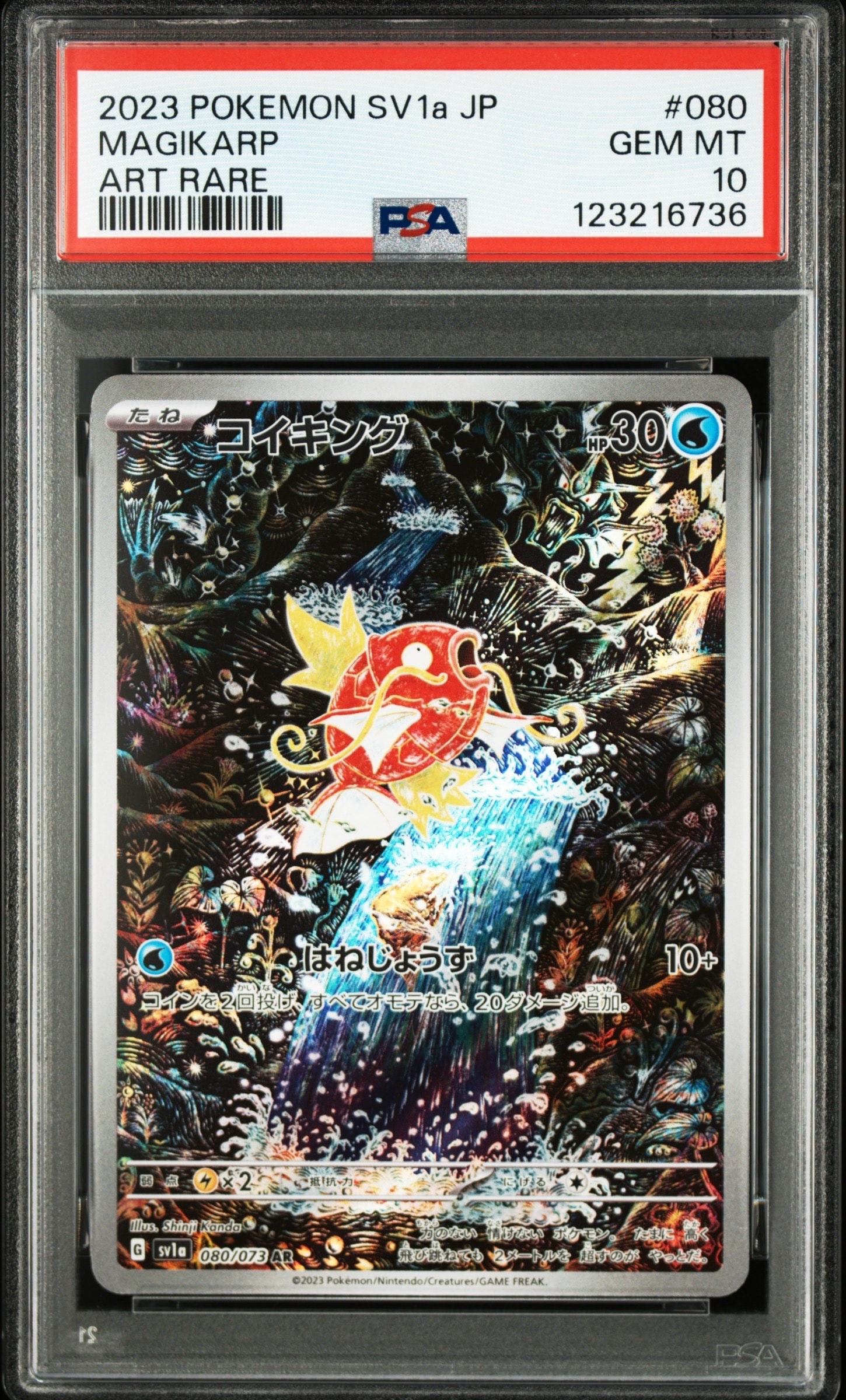 コイキング AR[SV1a 080/073](スカーレット&バイオレット 拡張パック「トリプレットビート」)