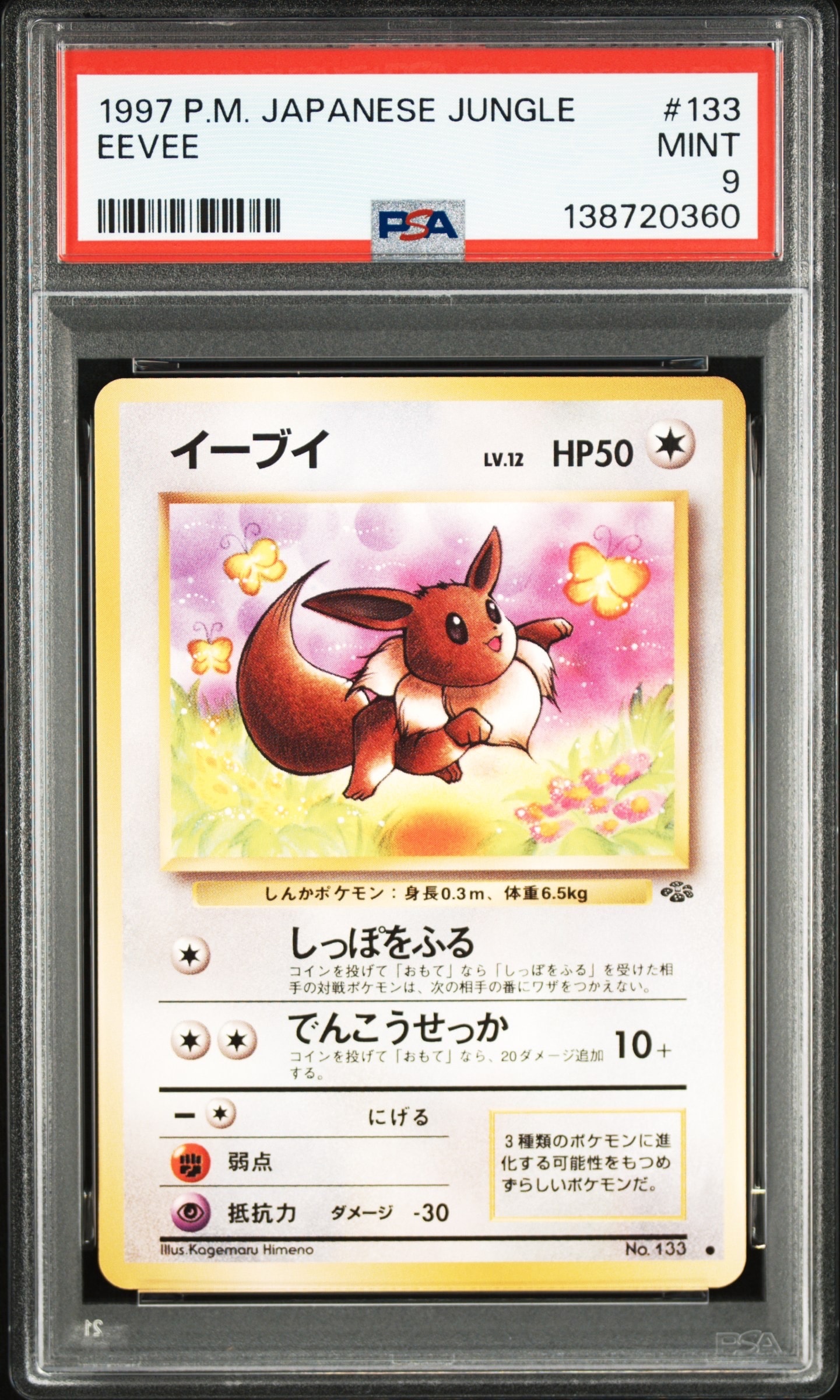 イーブイ ● : 旧裏 [PMCG2 No.133](拡張パック「ポケモンジャングル」)