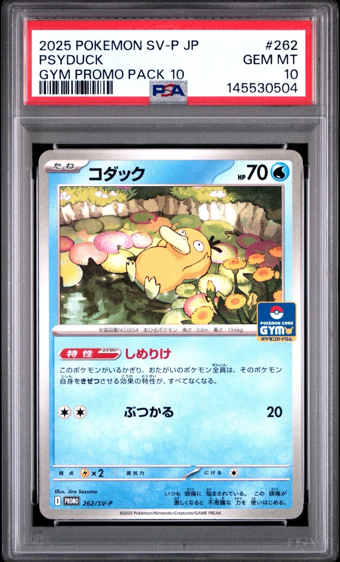 コダック P [SV-P 262](プロモカードパック「第10弾」)