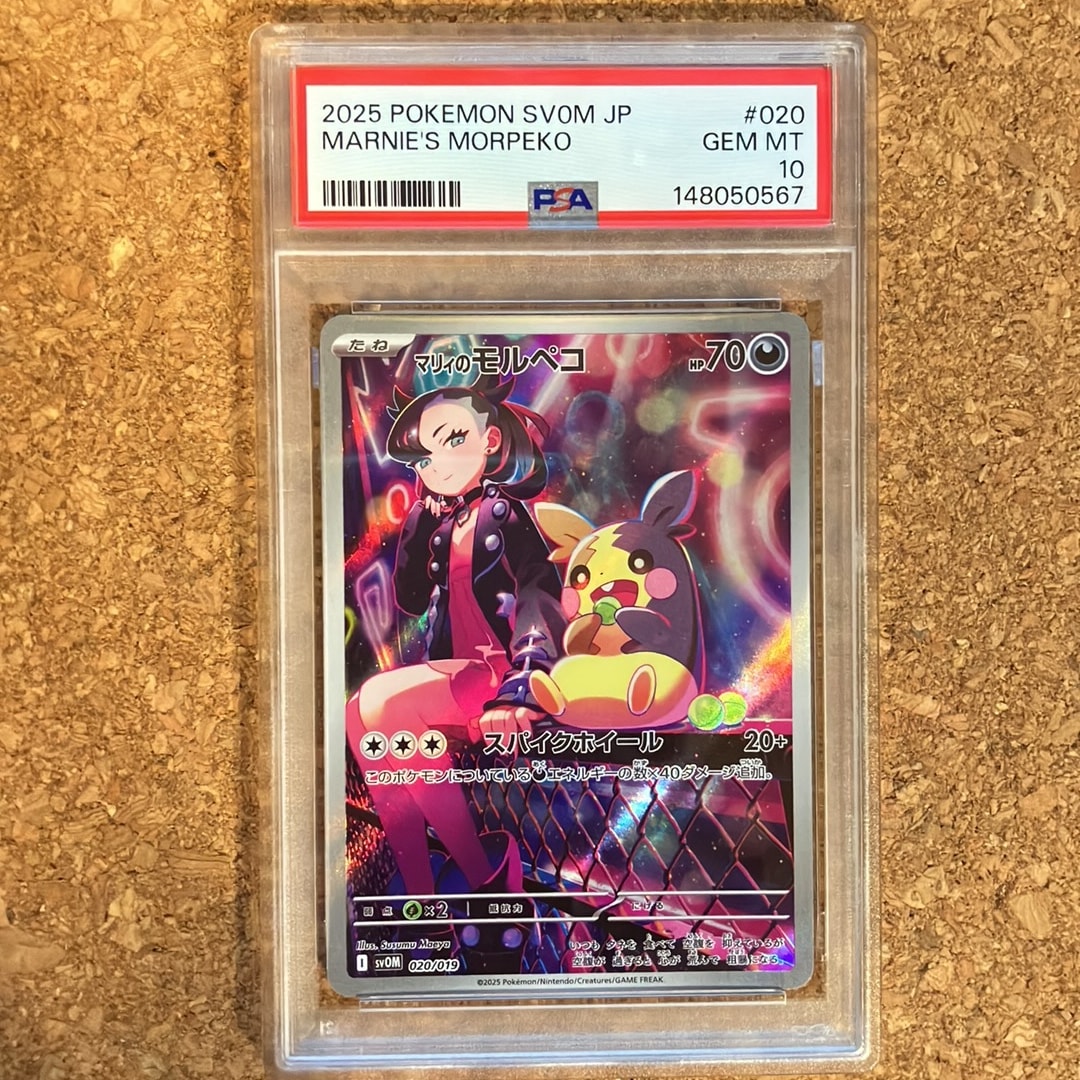 PSA10】マリィのモルペコ [SVOM 020/019](スターターセットex「マリィ