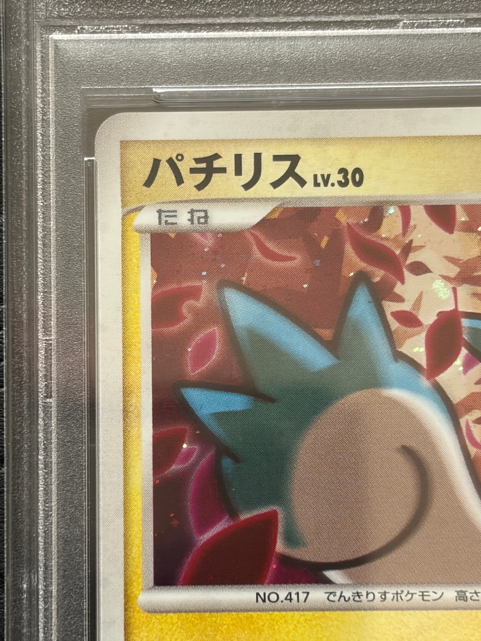 PSA8以下】パチリス ☆ [DP4](拡張パック「夜明けの疾走」) 1枚の