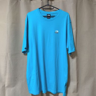 Supreme x The North Face Mountains Tee "Teal"