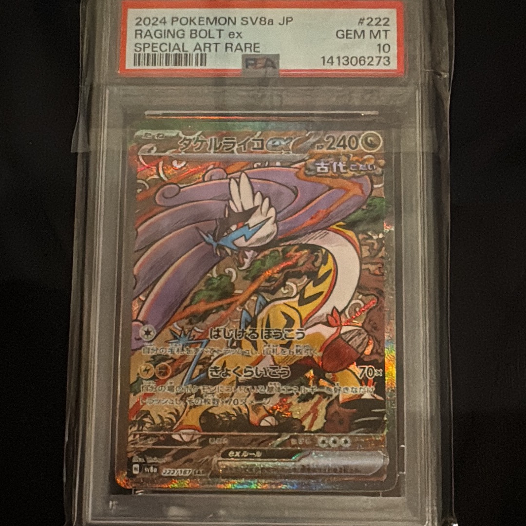 psa10 タケルライコex SAR SV8a テラスタルフェスex pkmn-tcg-en-SV8pt5_EN_166-2x-