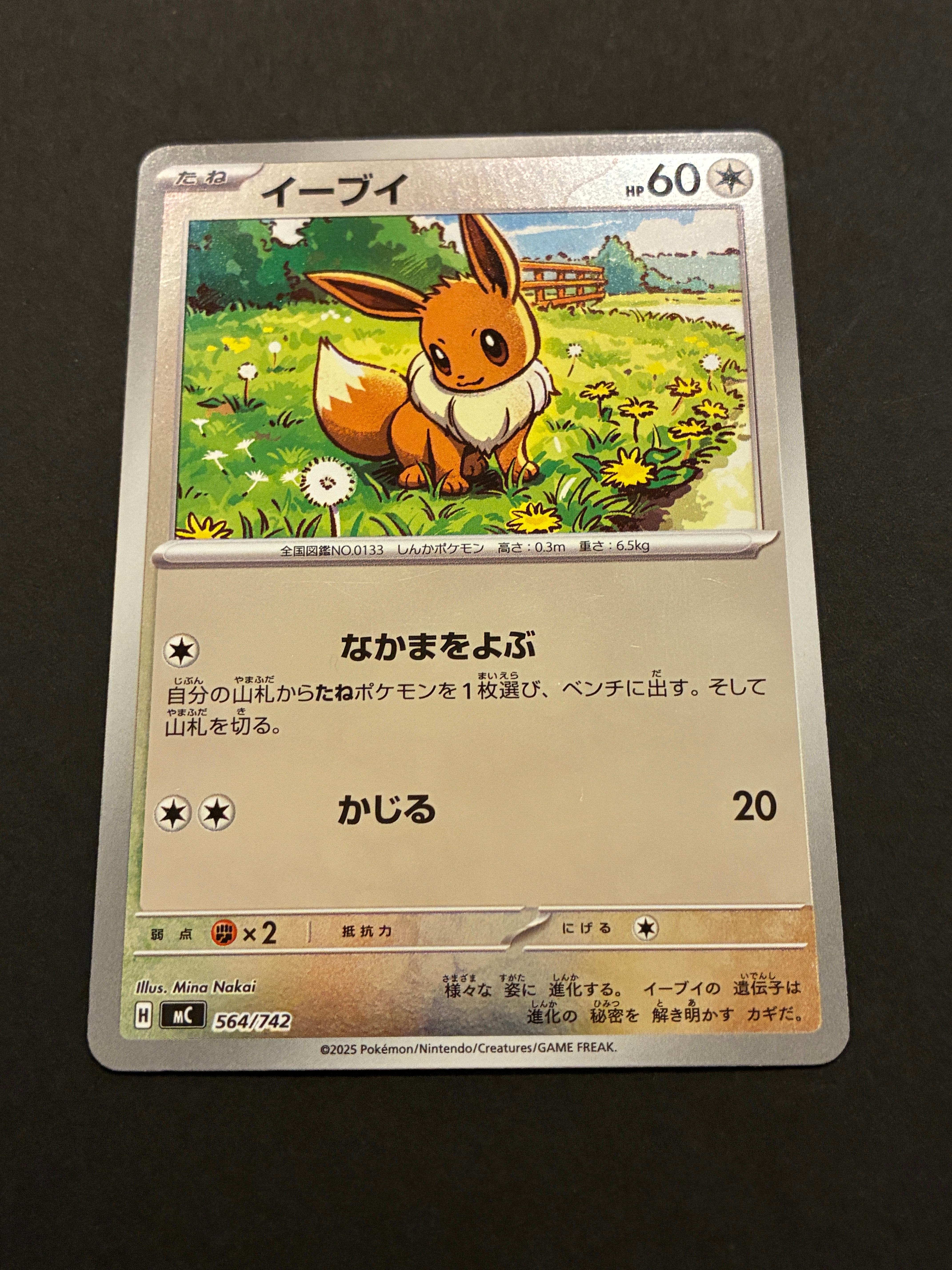 シャワーズEX: プロモ[XY-P 194](プロモーションカード「XY-P」)の新品