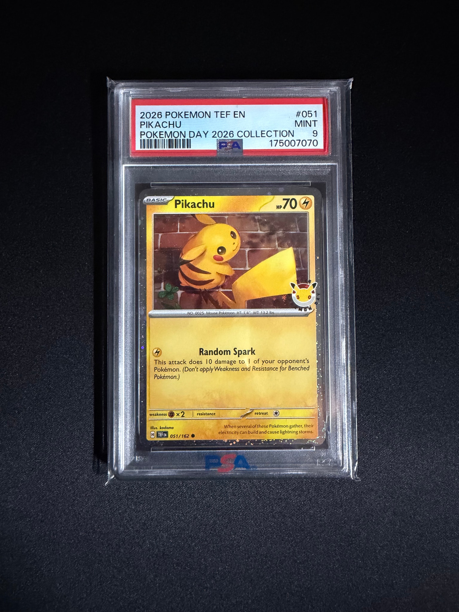 ピカチュウ C [TEF EN 051/162]【英語版】(メガエボリューション