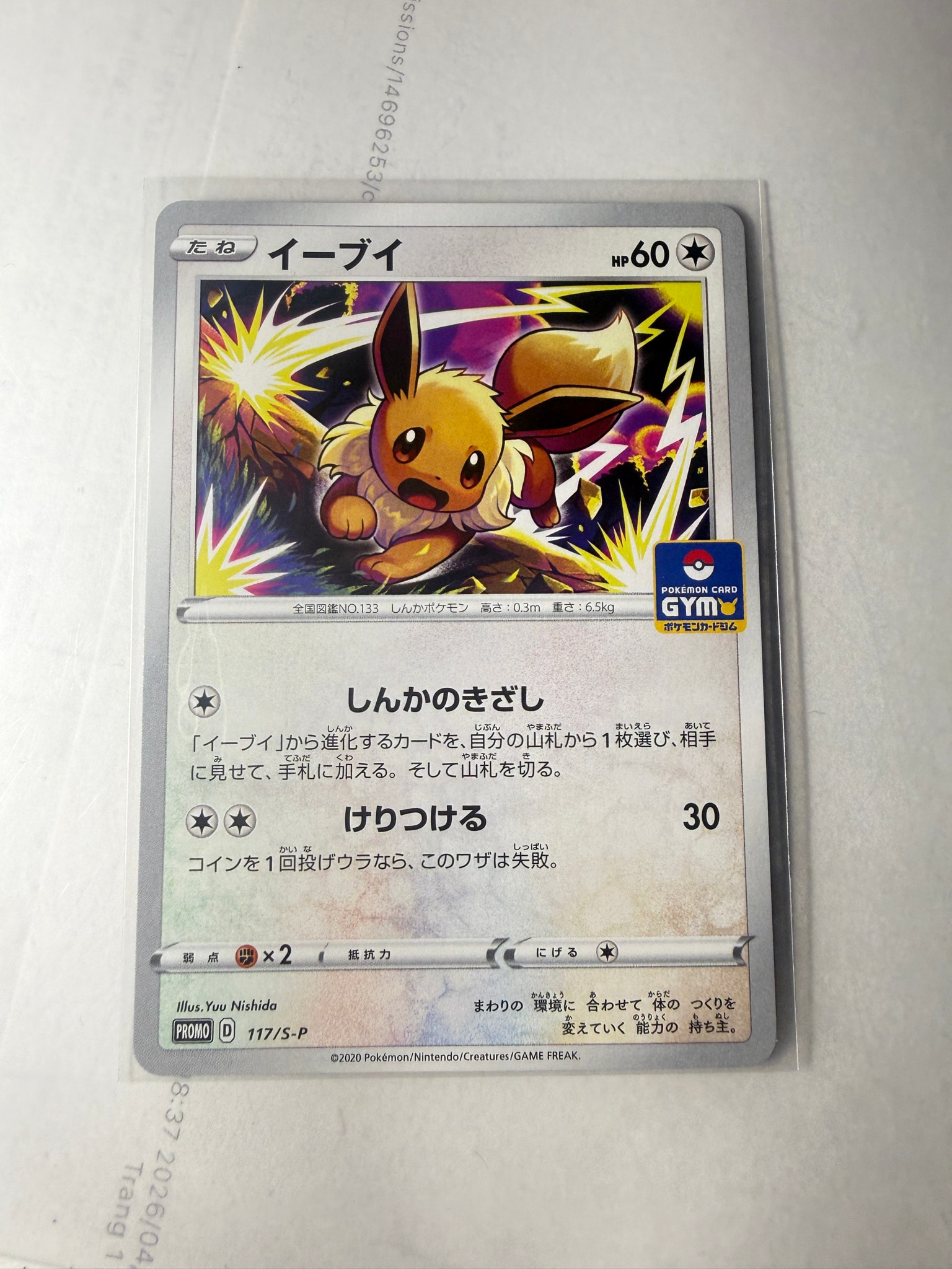 イーブイ: プロモ P [S-P 117](ポケモンカードゲーム ソード&シールド 「プロモカードパック 第4弾」)