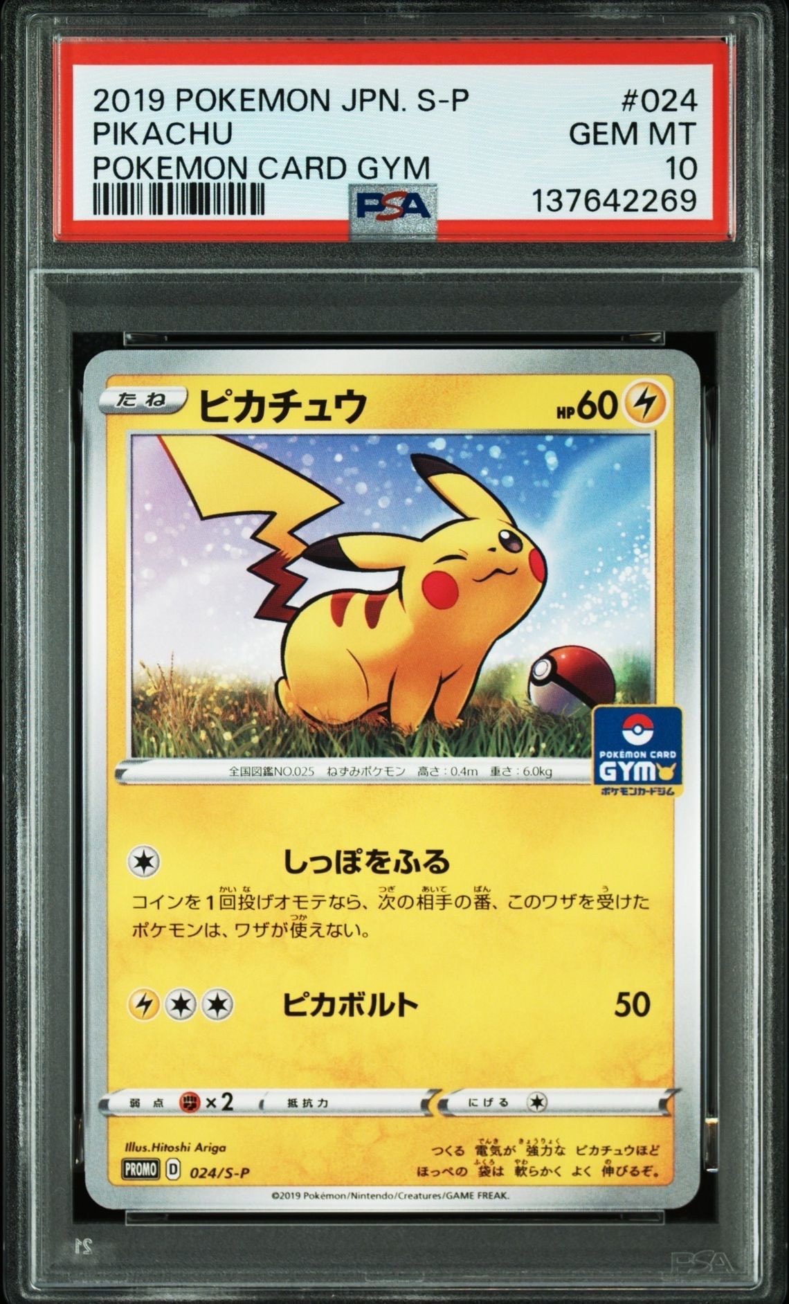 ピカチュウ: プロモ P [S-P 024](ポケモンカードゲーム ソード&シールド 「プロモカードパック 第1弾」)