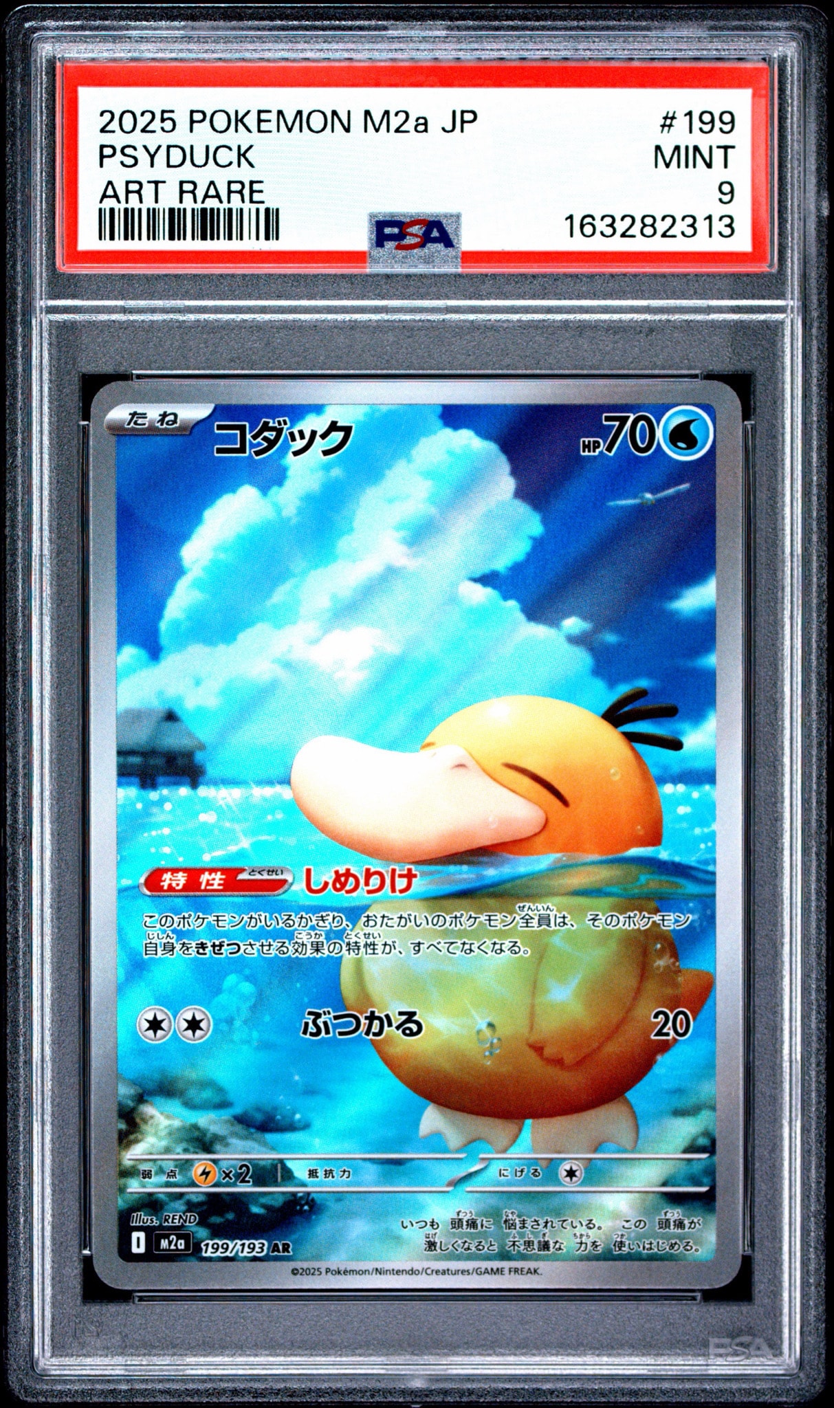 コダック AR [M2a 199/193](ハイクラスパック「MEGAドリームex」)