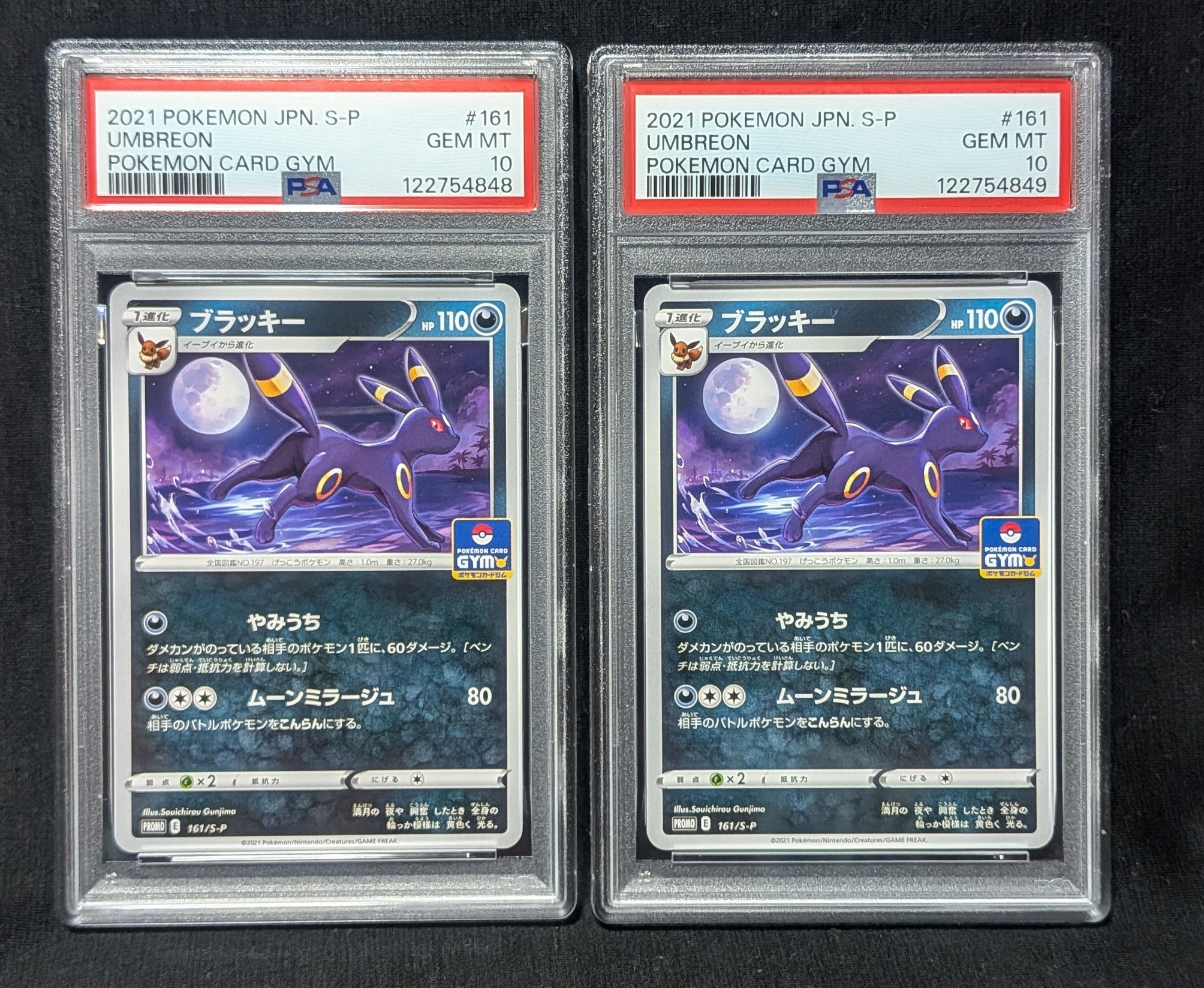 PSA10 ブラッキー 161/S-P ジムプロモ PSA10 ブラッキー 161/S-P PROMO ジムプロモ ポケモンカード