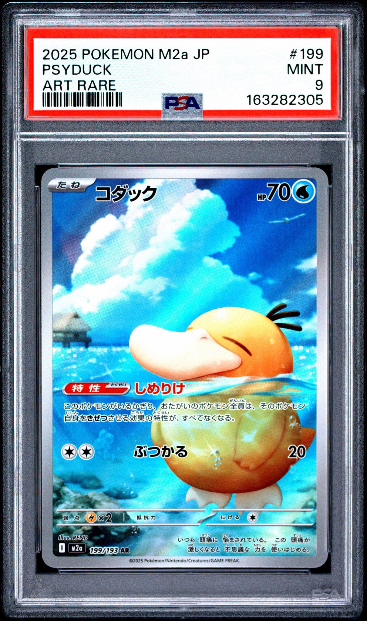コダック AR [M2a 199/193](ハイクラスパック「MEGAドリームex」)