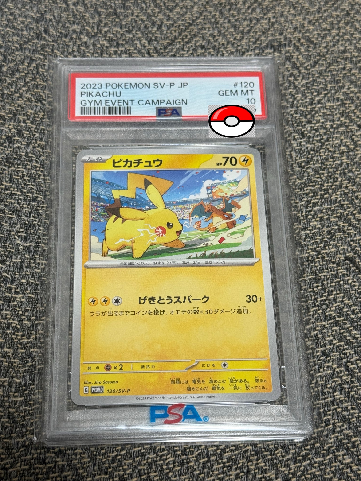 ピカチュウ: プロモ [SV-P 120](プロモーションカード「SV-P」)通販