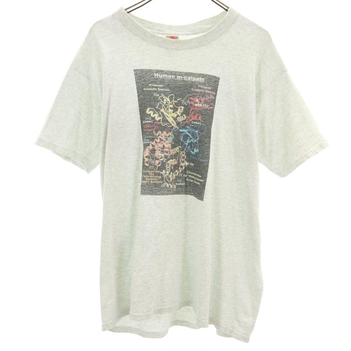 FRUIT OF THE LOOM フルーツオブザルーム オールド ヒトm-カルパイン 半袖 Tシャツ L グレー