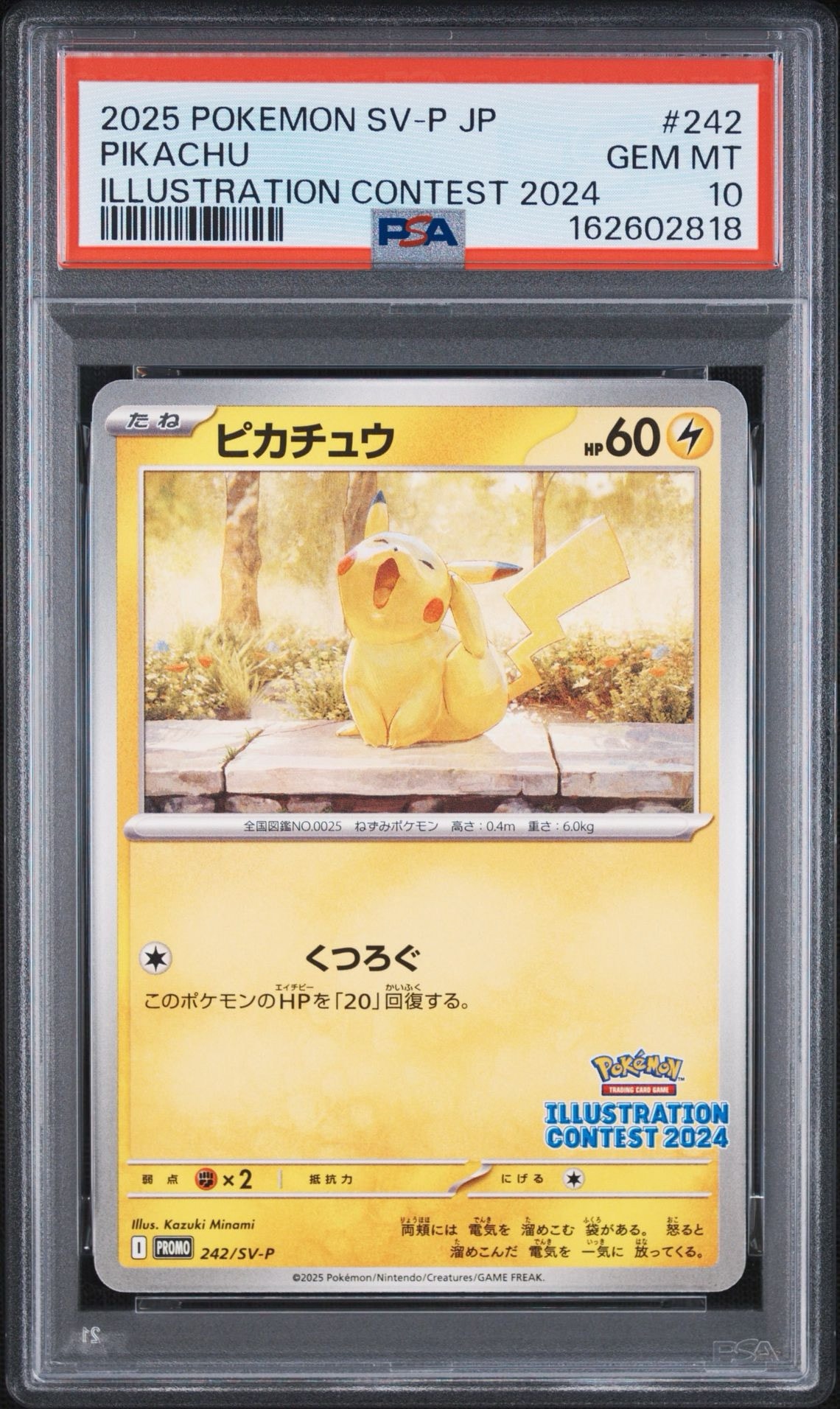 PSA10】ピカチュウ [SV-P 242](プロモカードパック