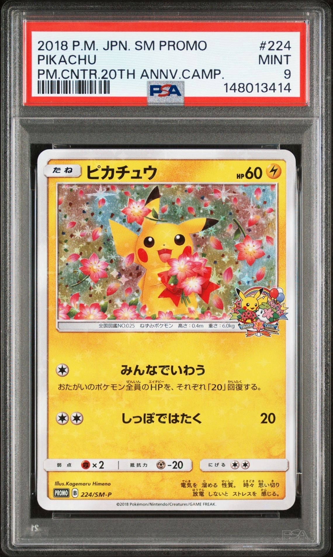 ピカチュウ: プロモ[SM-P 224](プロモーションカード「SM-P」)の新品