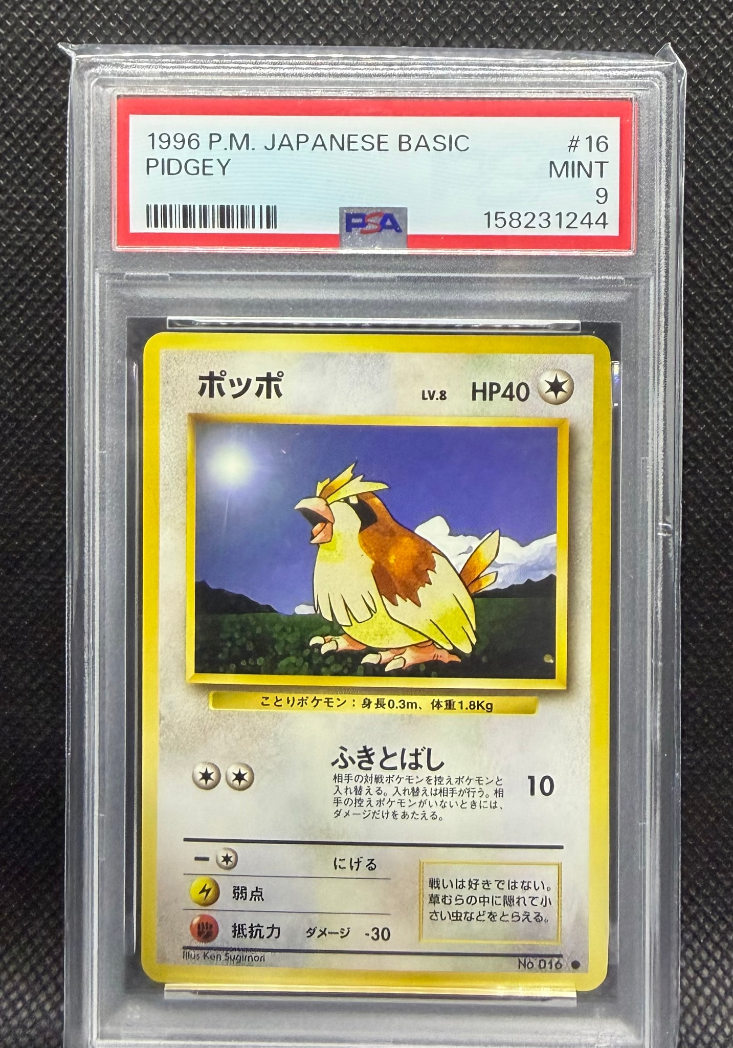 PSA10】ポッポ ○ : 旧裏 [PMCG1-2](拡張パック「ポケットモンスター