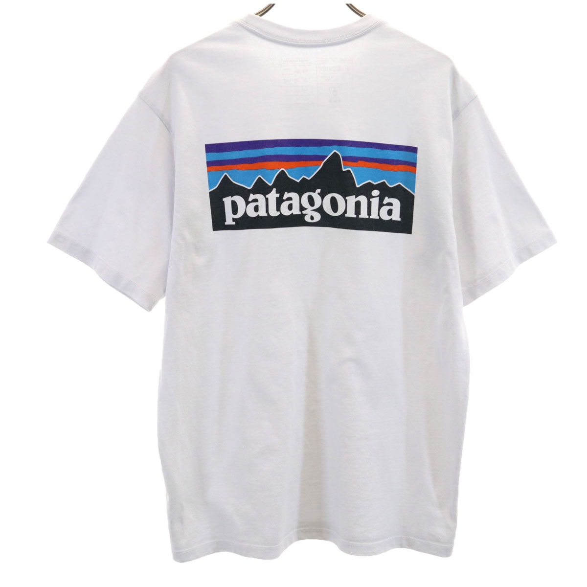 patagonia パタゴニア バックロゴ 半袖 Tシャツ S ブルーホワイト 38504SP21 アウトドア